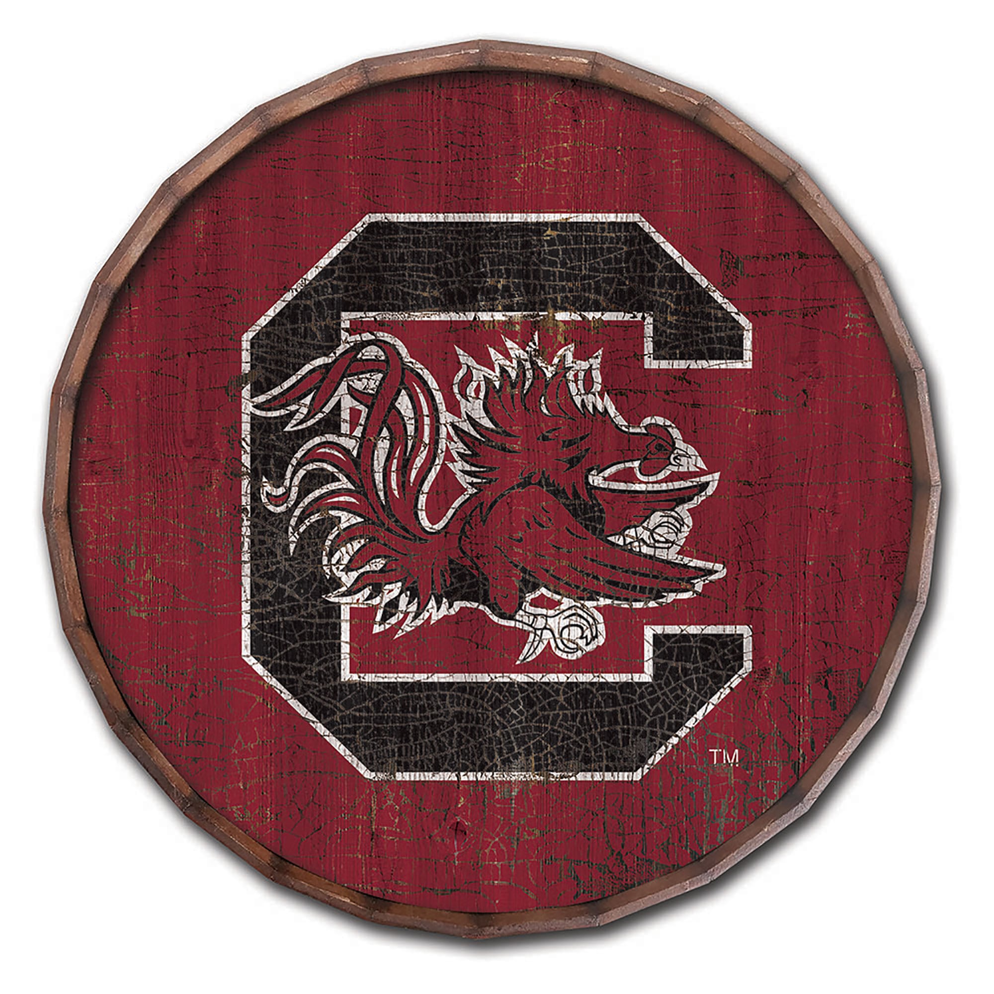 South Carolina Gamecocks 24