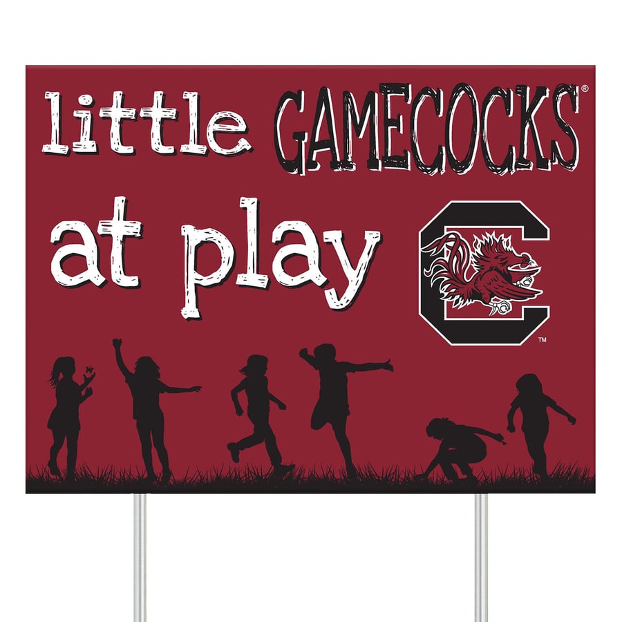 South Carolina Gamecocks 24