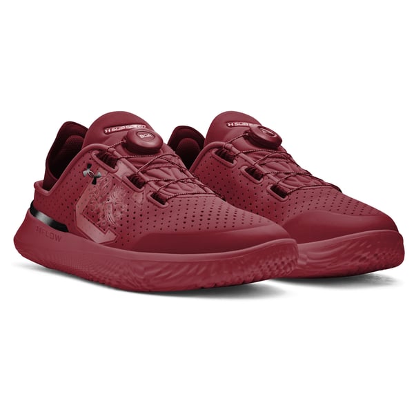 Unisex Under Armour Garnet South Carolina Gamecocks  display picture 2