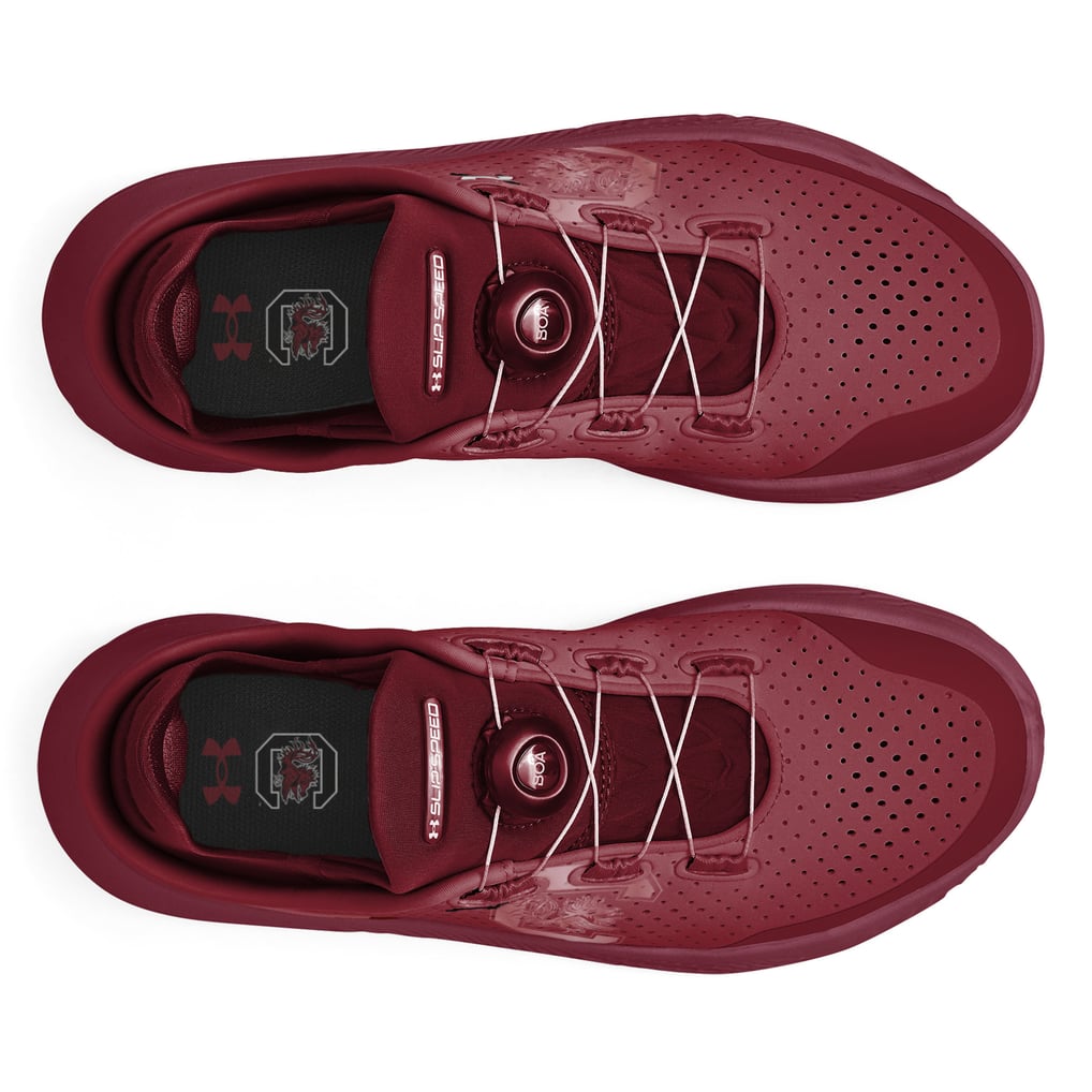 Unisex Under Armour Garnet South Carolina Gamecocks  display picture 1