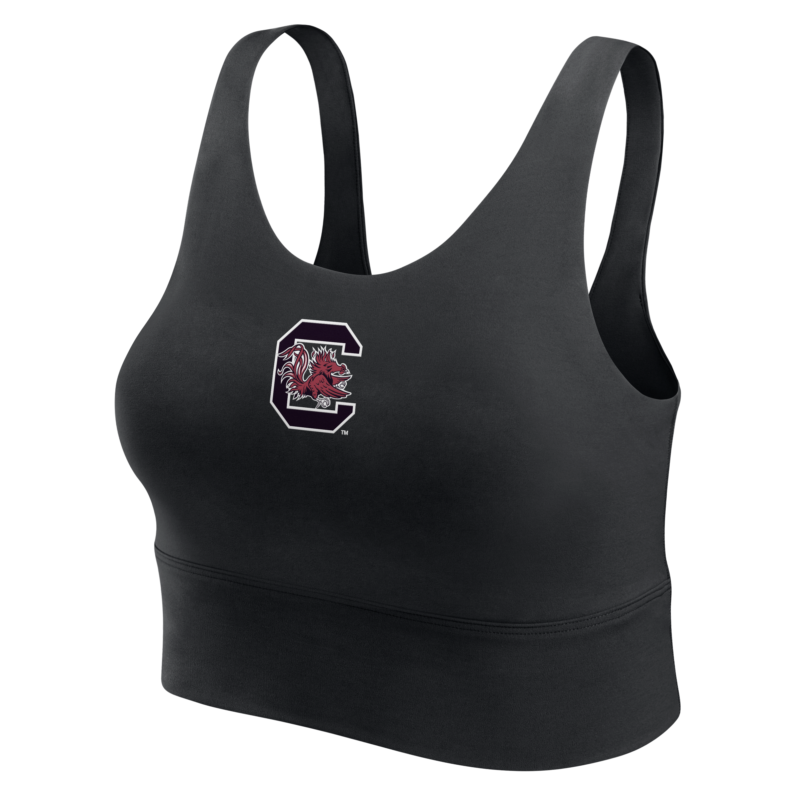 Women's Nike Black South Carolina Gamecocks Dri-FIT Longline Bra