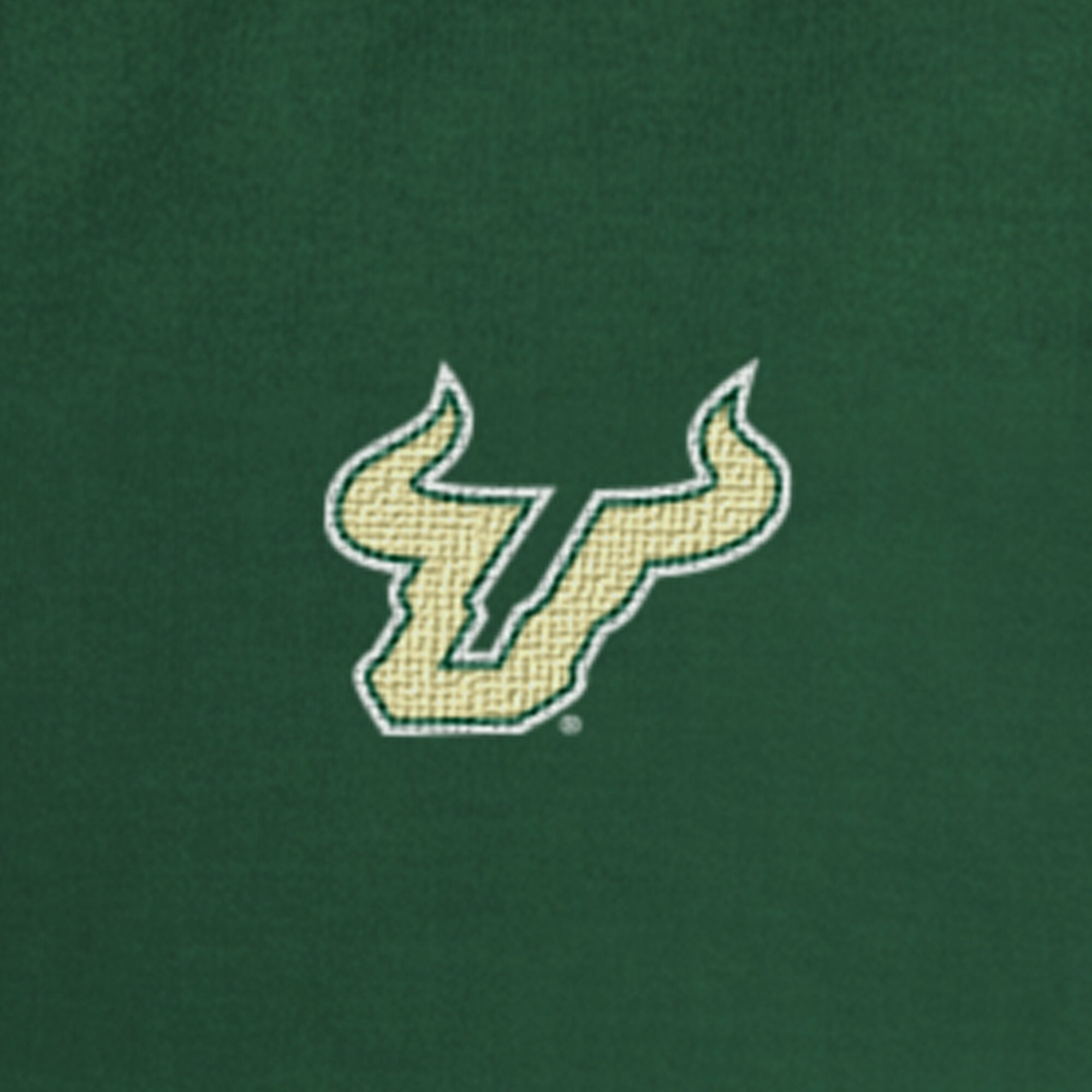 Pull polaire à col zippé Champion vert South Florida Bulls pour homme