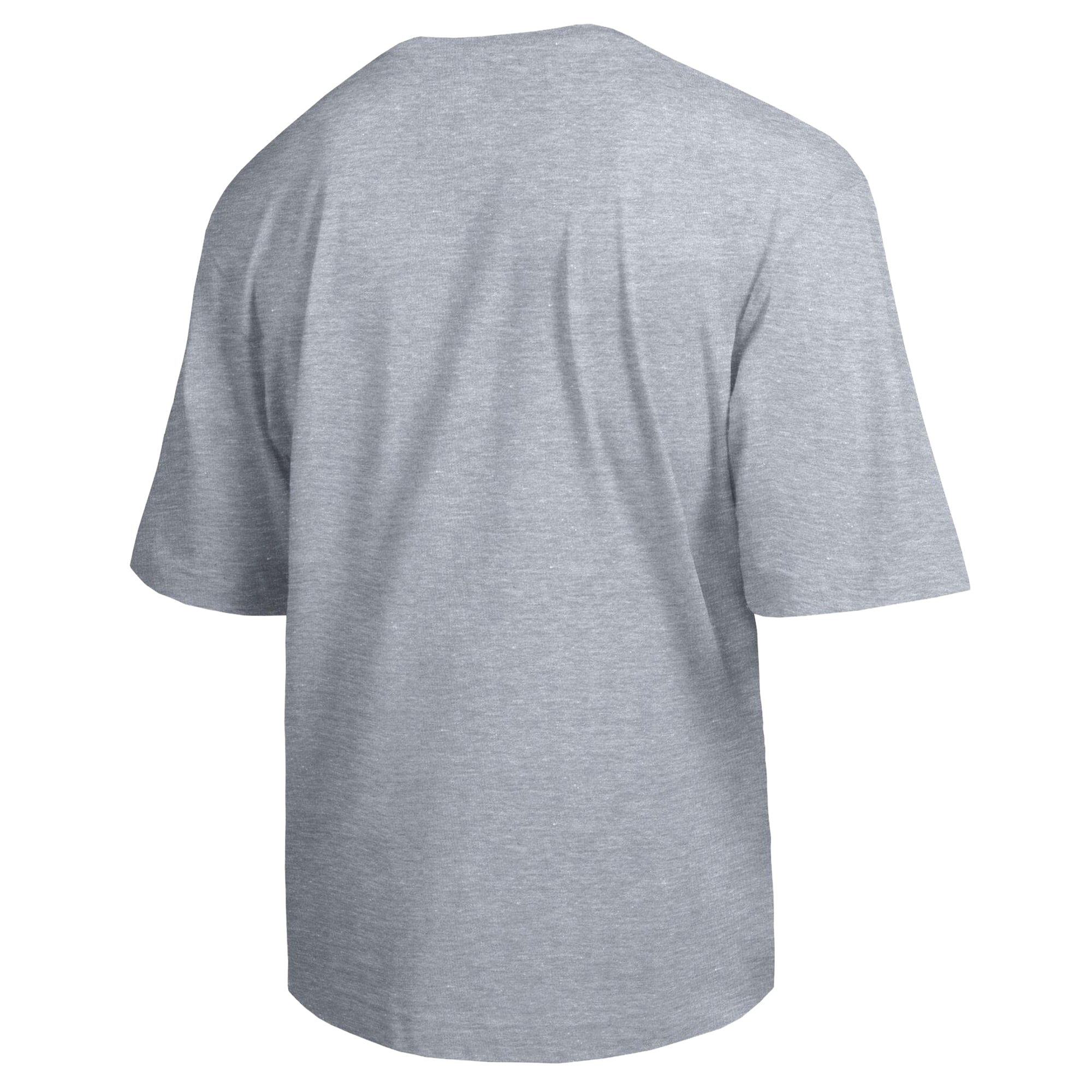 Men's Champion  Heather Gray South Florida Bulls Weathered Team T-Shirt