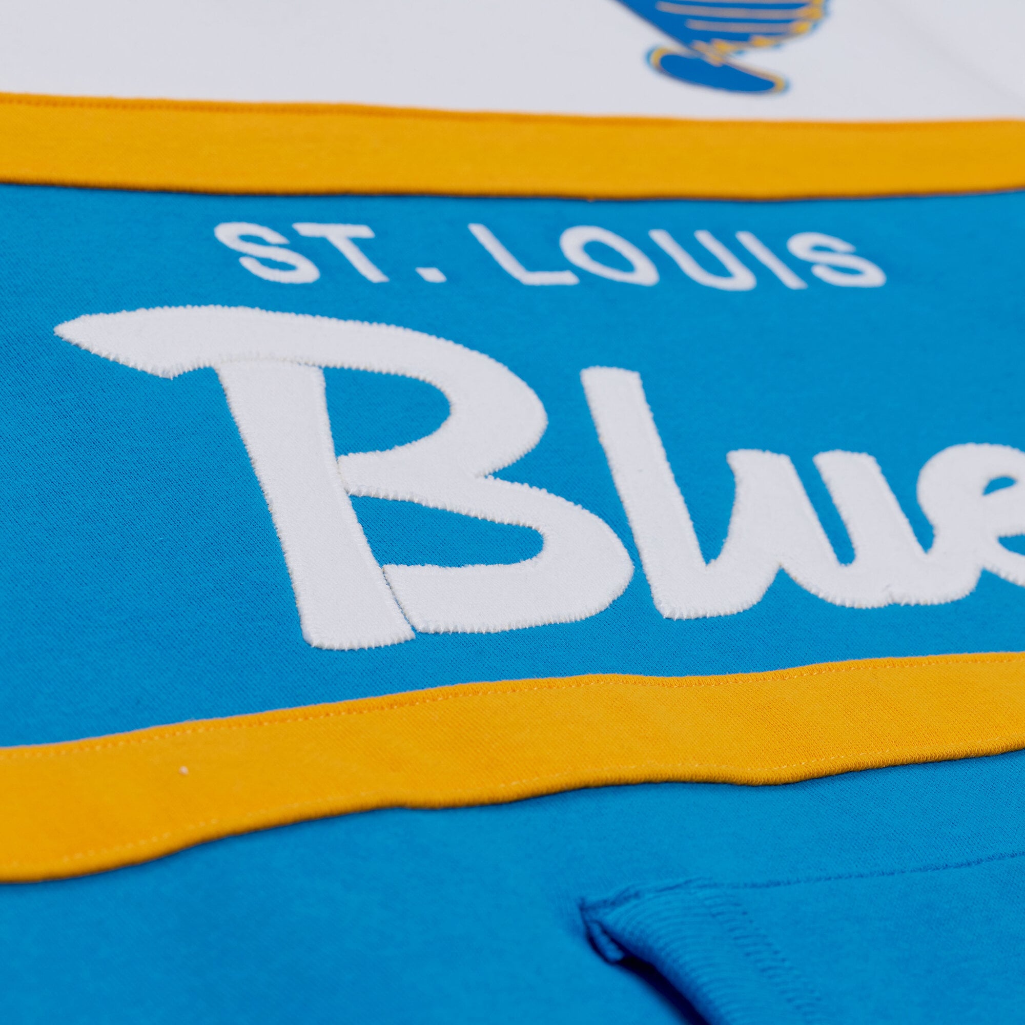 Sweat à capuche Mitchell & Ness Royal St. Louis Blues pour homme