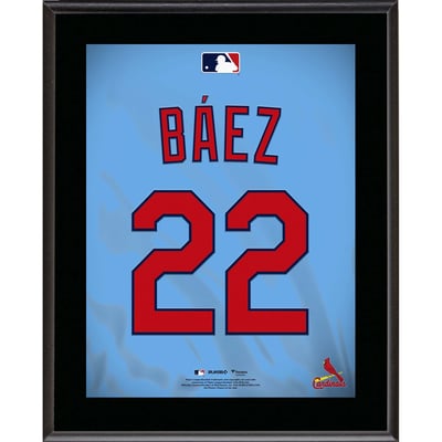 Joshua Báez St. Louis Cardinals Fanatics Authentic 10.5" x 13" Jersey Number Sublimated Player Plaque