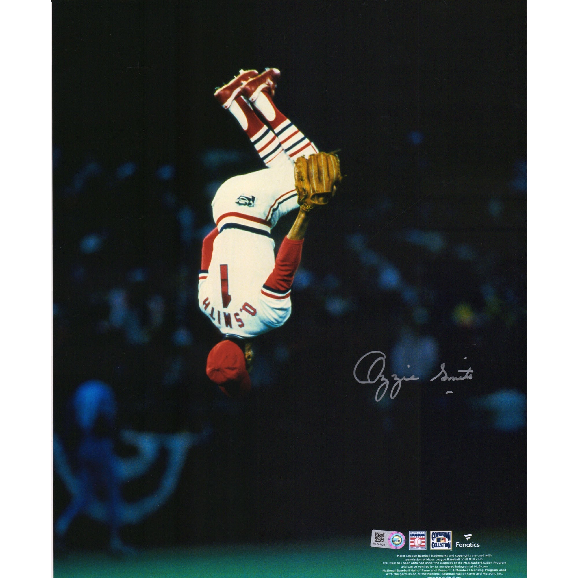 Photo verticale autographiée d'Ozzie Smith, joueur des Cardinals de Saint-Louis, format 11 x 14 pouces.