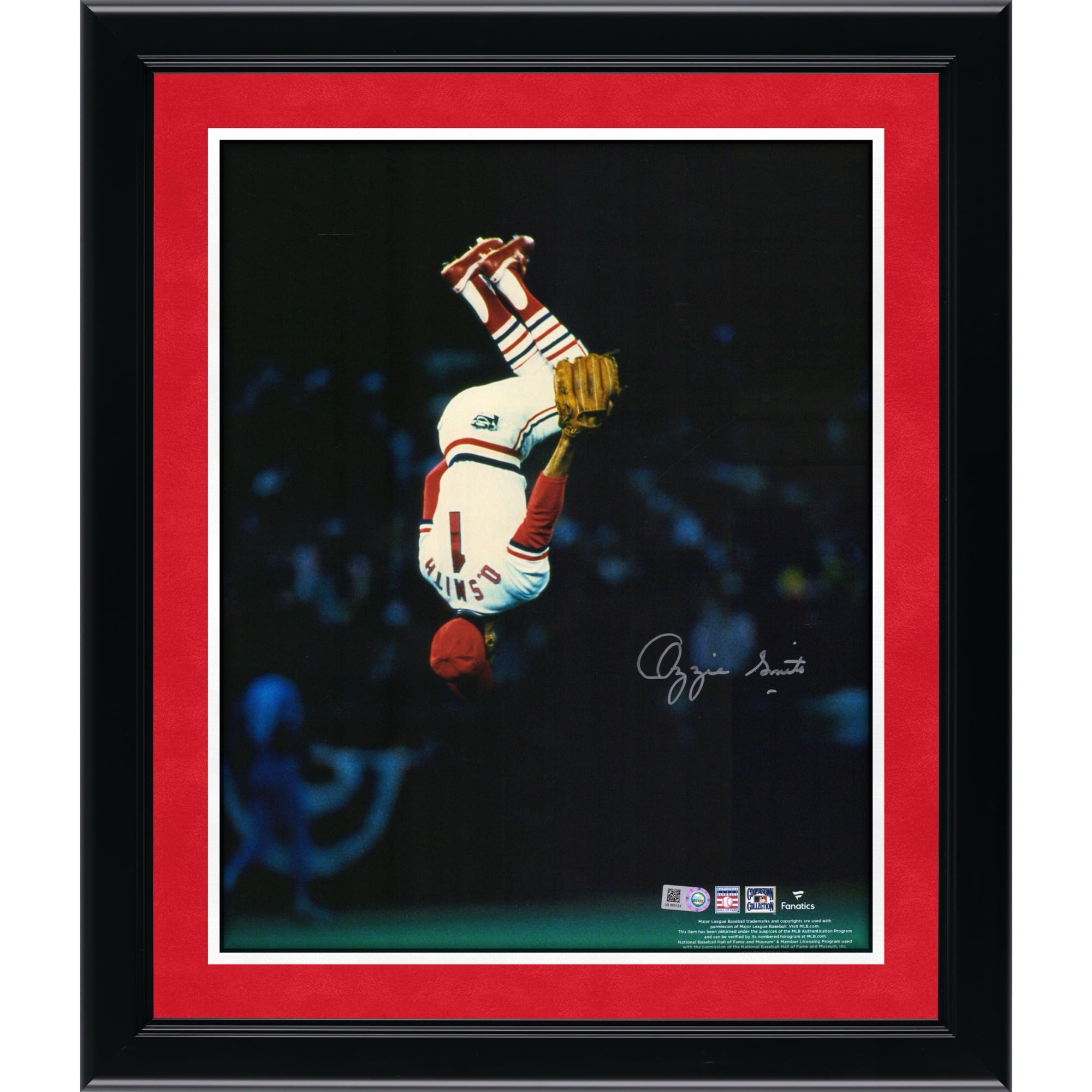 Photo verticale autographiée d'Ozzie Smith, joueur des Cardinals de Saint-Louis, format 11 x 14 pouces.