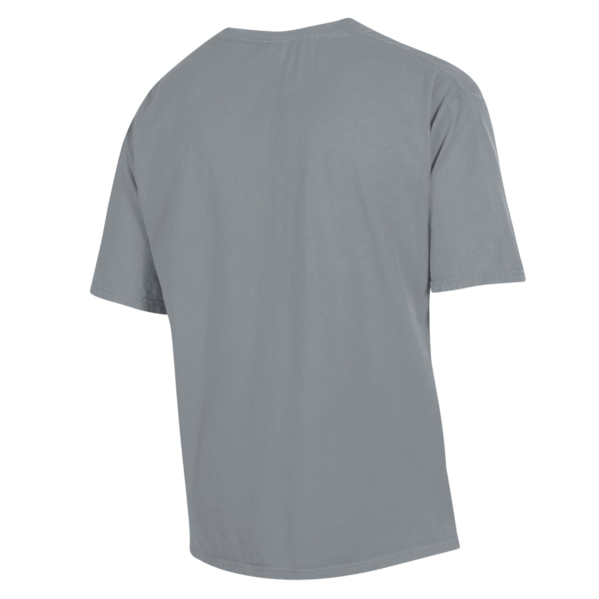 T-shirt gris teint en pièce pour homme, motif canards du Stevens Institute of Technology, ComfortWash