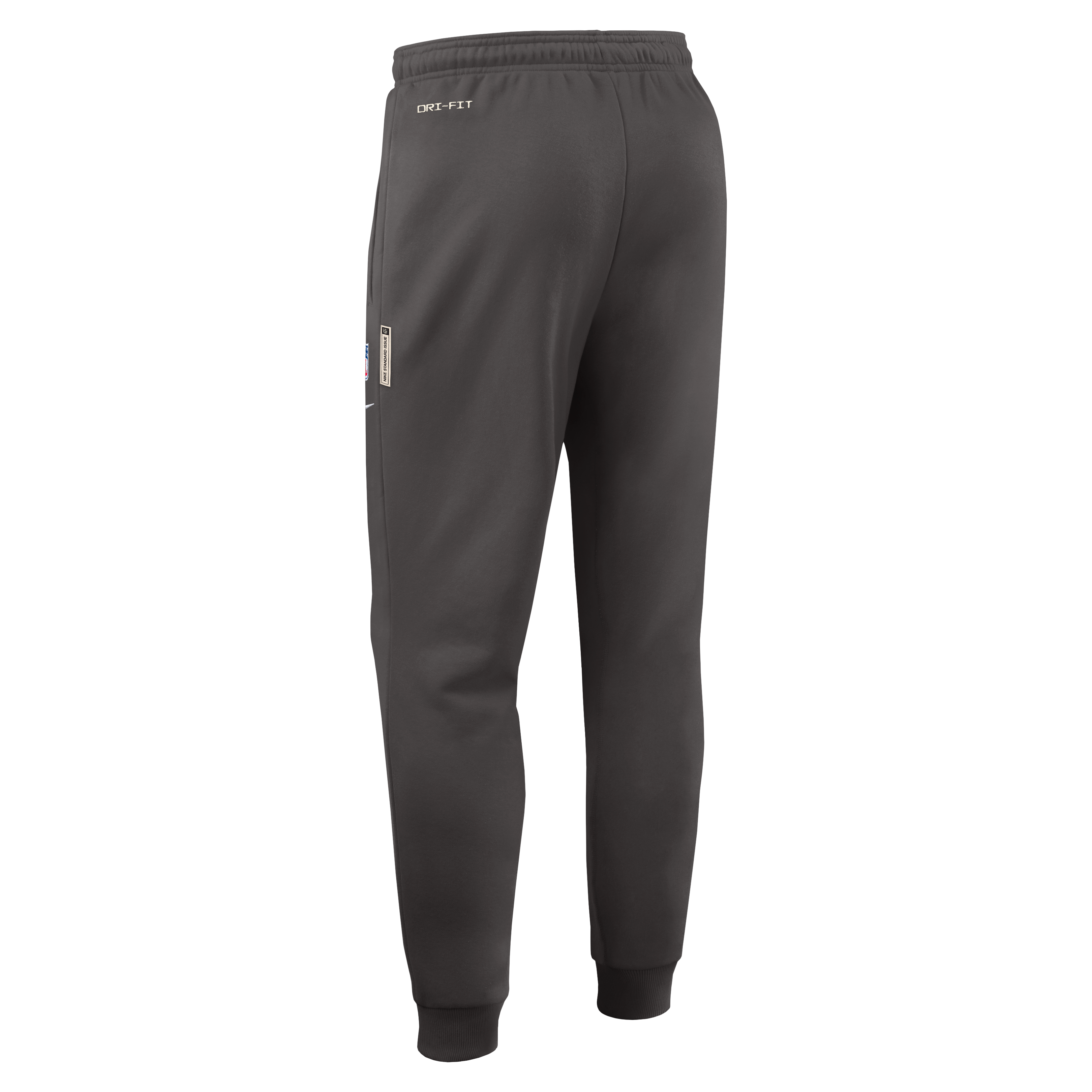 Men's Nike Pewter Tampa Bay Buccaneers Sideline Standard Issue Touchback Kick Dri-FIT Taper Pants