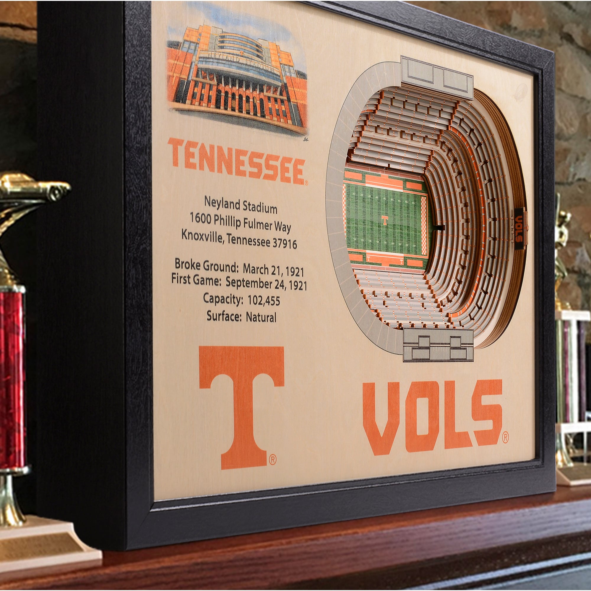 IDNA Tennessee Volunteers 25.5