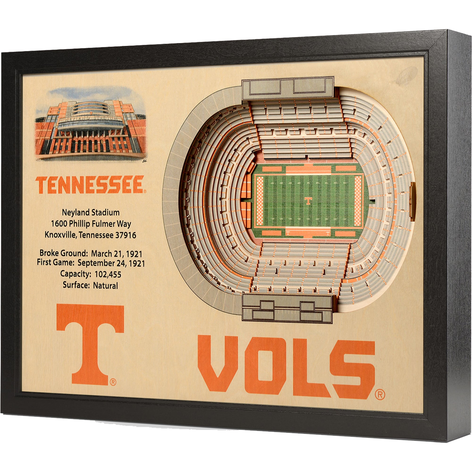 IDNA Tennessee Volunteers 25.5