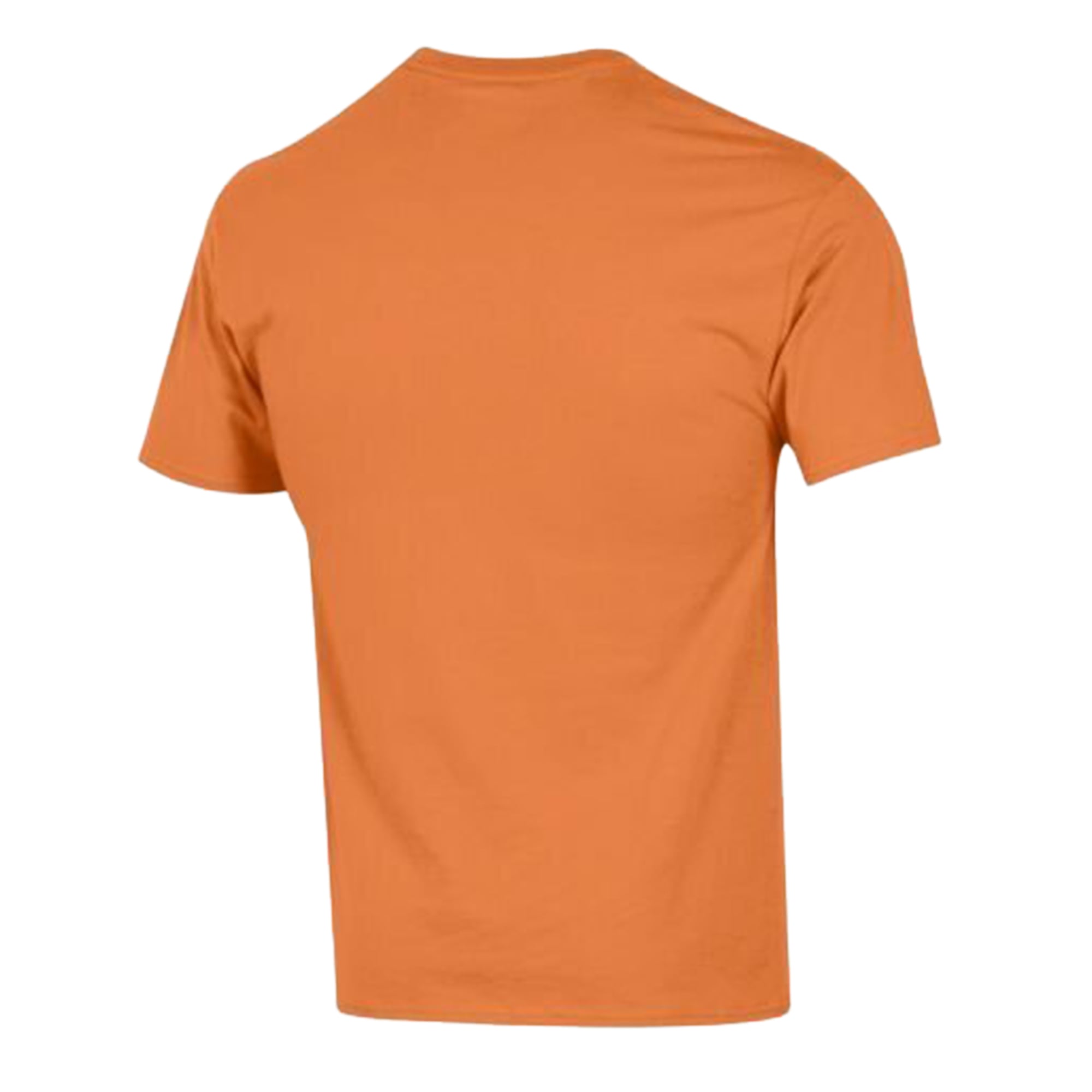 Men's Champion  Tennessee Orange Volunteers Americana 250 Years of Freedom Tonal T-Shirt