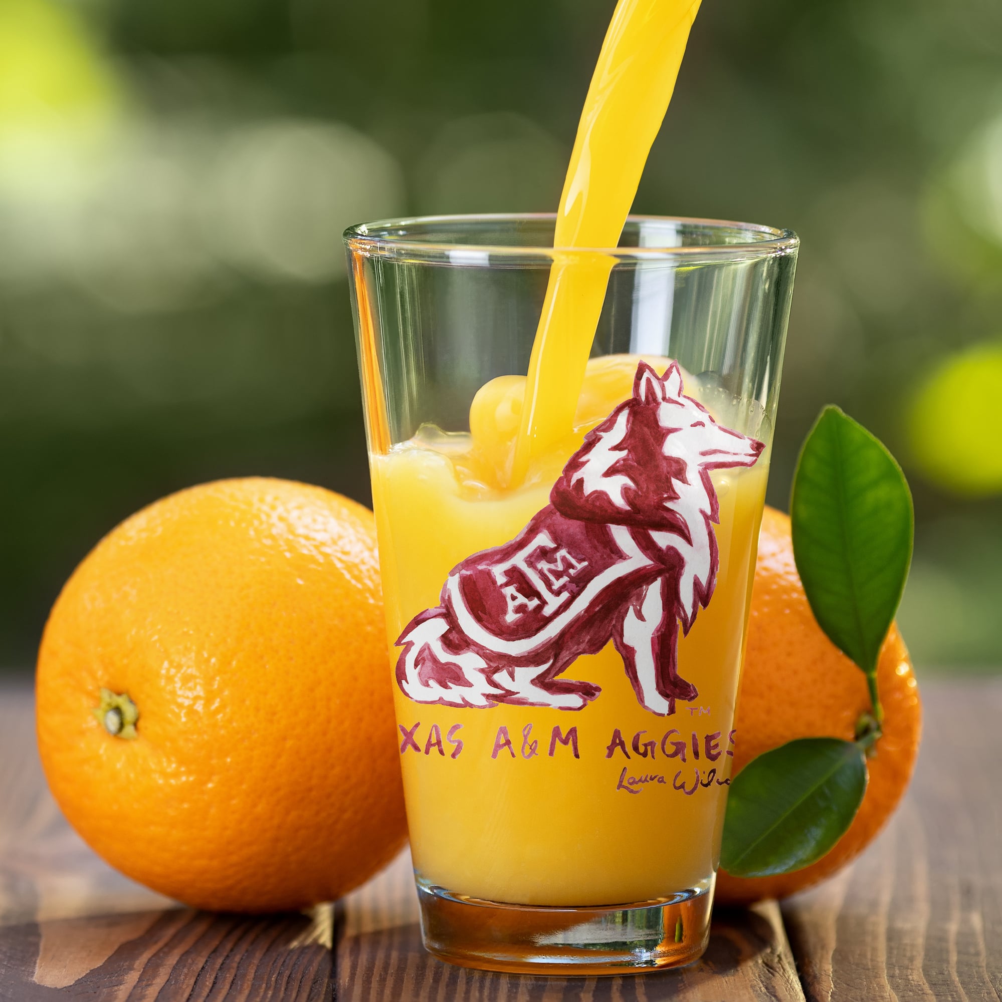 Ensemble de 2 verres à bière à l'effigie de Laura Wilcox, mascotte des Texas A&M Aggies, à Indigo Falls