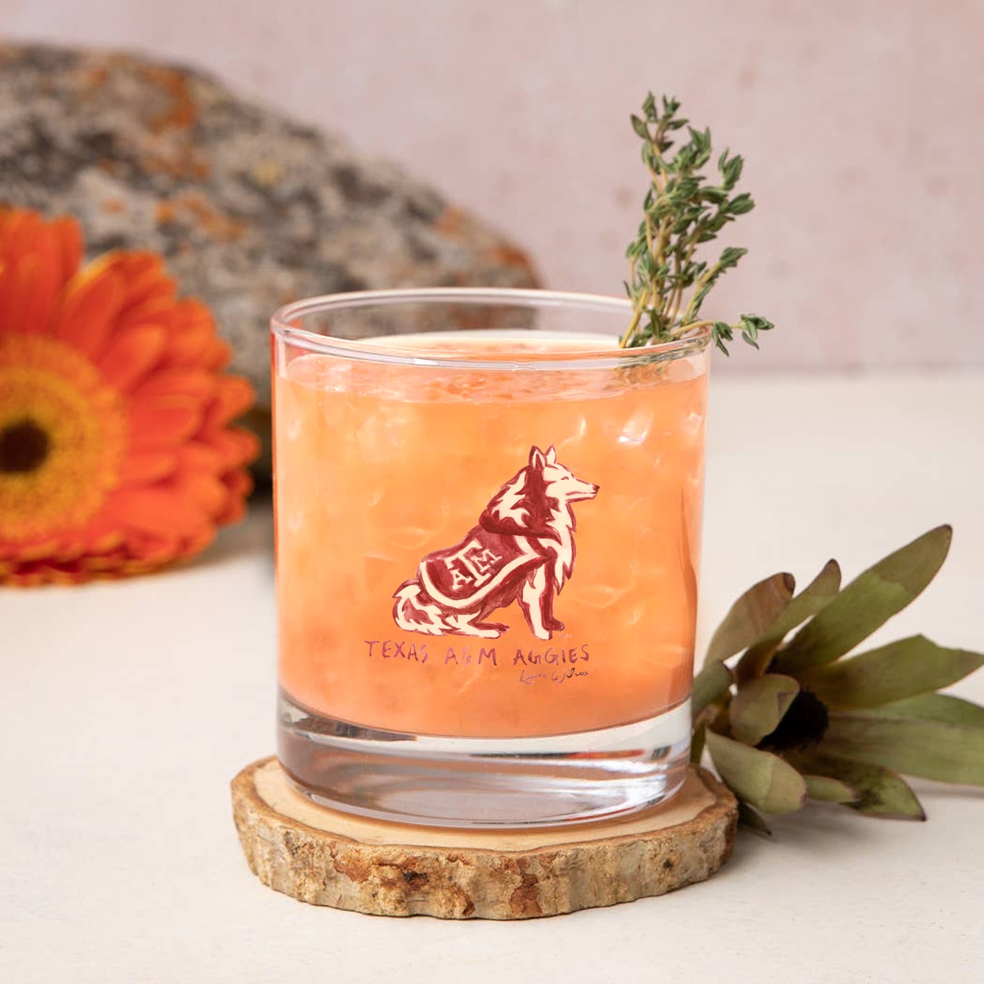 Ensemble de 2 verres à whisky à l'effigie de Laura Wilcox, mascotte des Texas A&M Aggies, à Indigo Falls