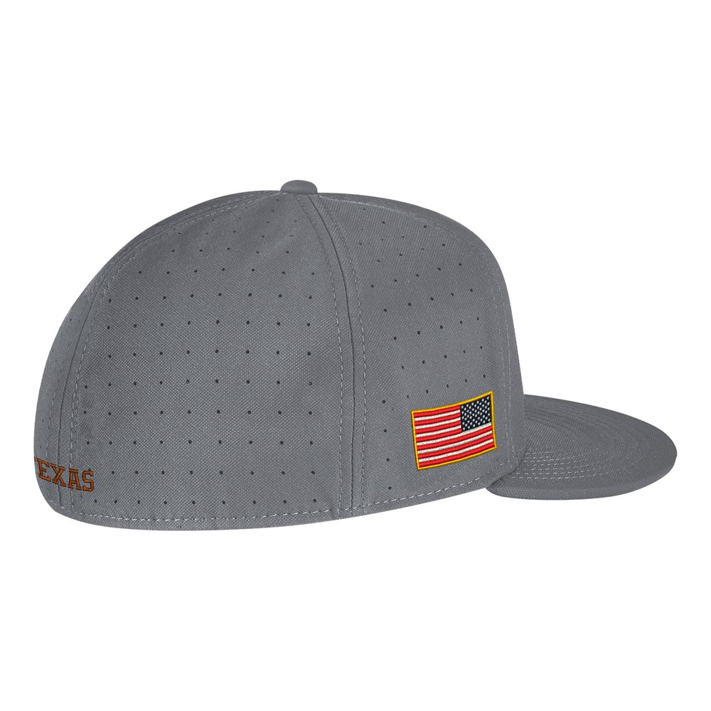 Men's Nike Gray Texas Longhorns USA Side Patch True AeroBill ...