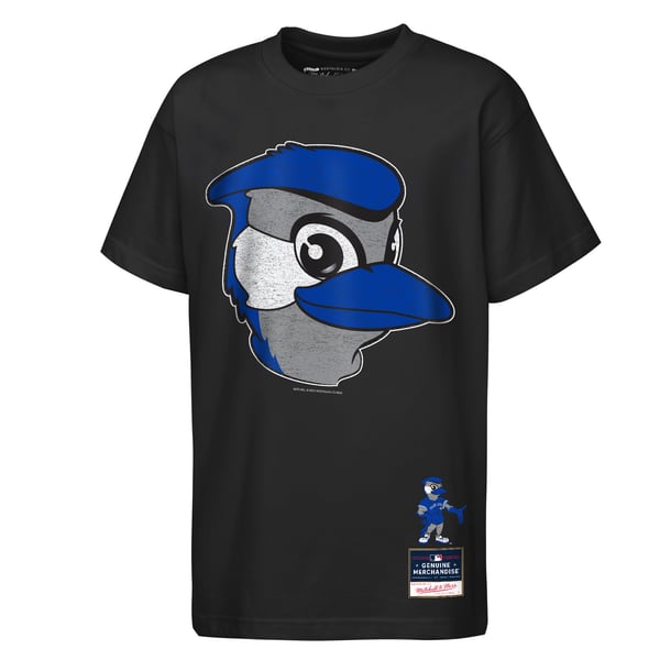 Shop Toronto Blue Jays Mitchell & Ness Gear | Fanatics Japan