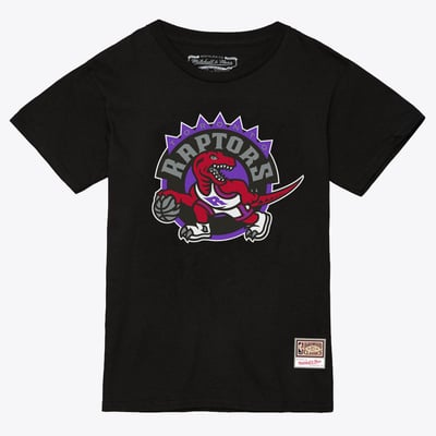 Toronto Raptors Mitchell & Ness Team Logo T-Shirt