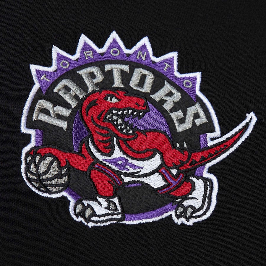 Tor Raptors Logo Toronto Raptors First Logo Toronto Raptors Logo Hi Res Stock