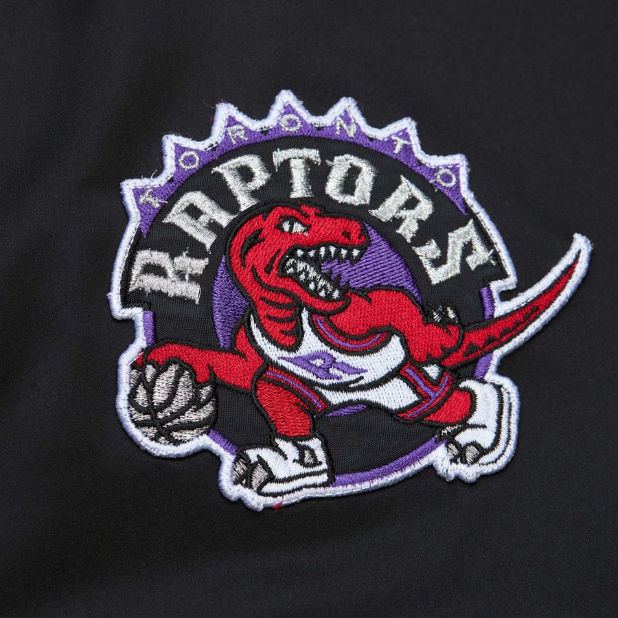 Wearside Raptors Raptors Throwback Logo Retro Raptors Logo 2025