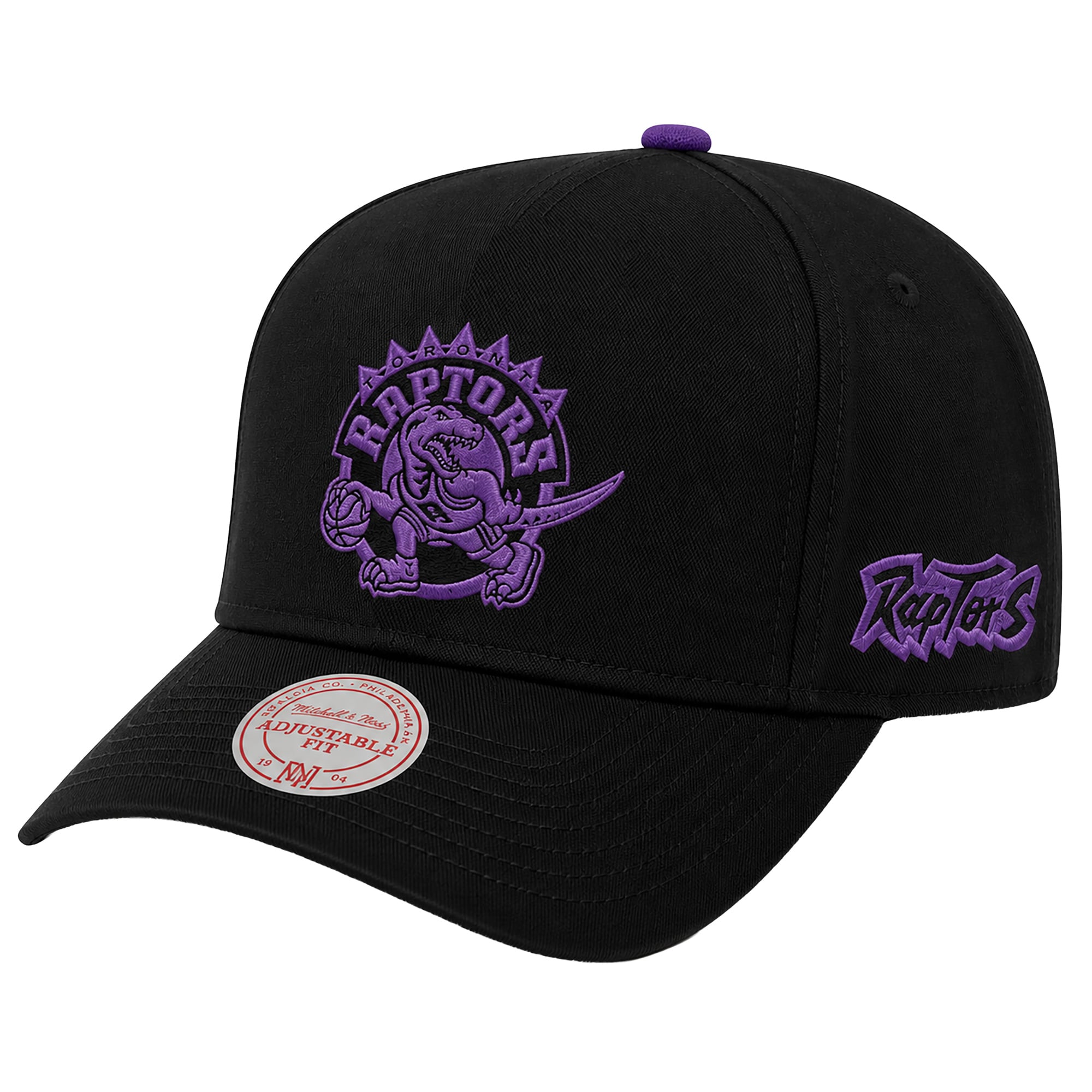 Men's Mitchell & Ness Black Toronto Raptors Legendary Home A-Frame Snapback