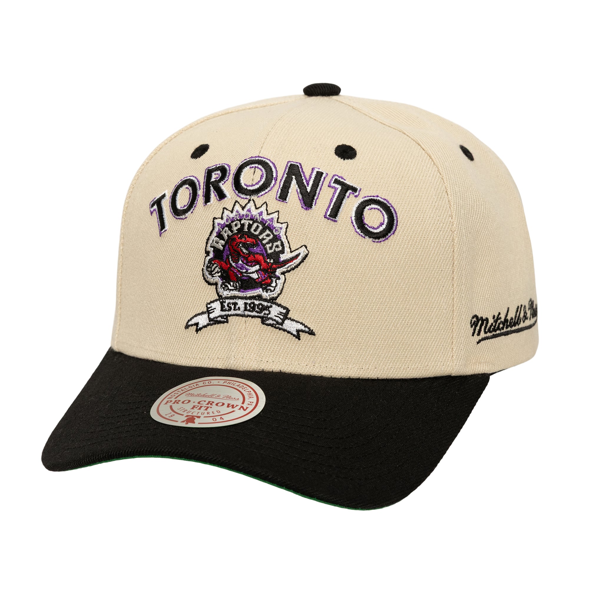 Men's Toronto Raptors Mitchell & Ness Cream/Black NBA Champions Soul Legacy Defined Pro Crown Snapback Hat