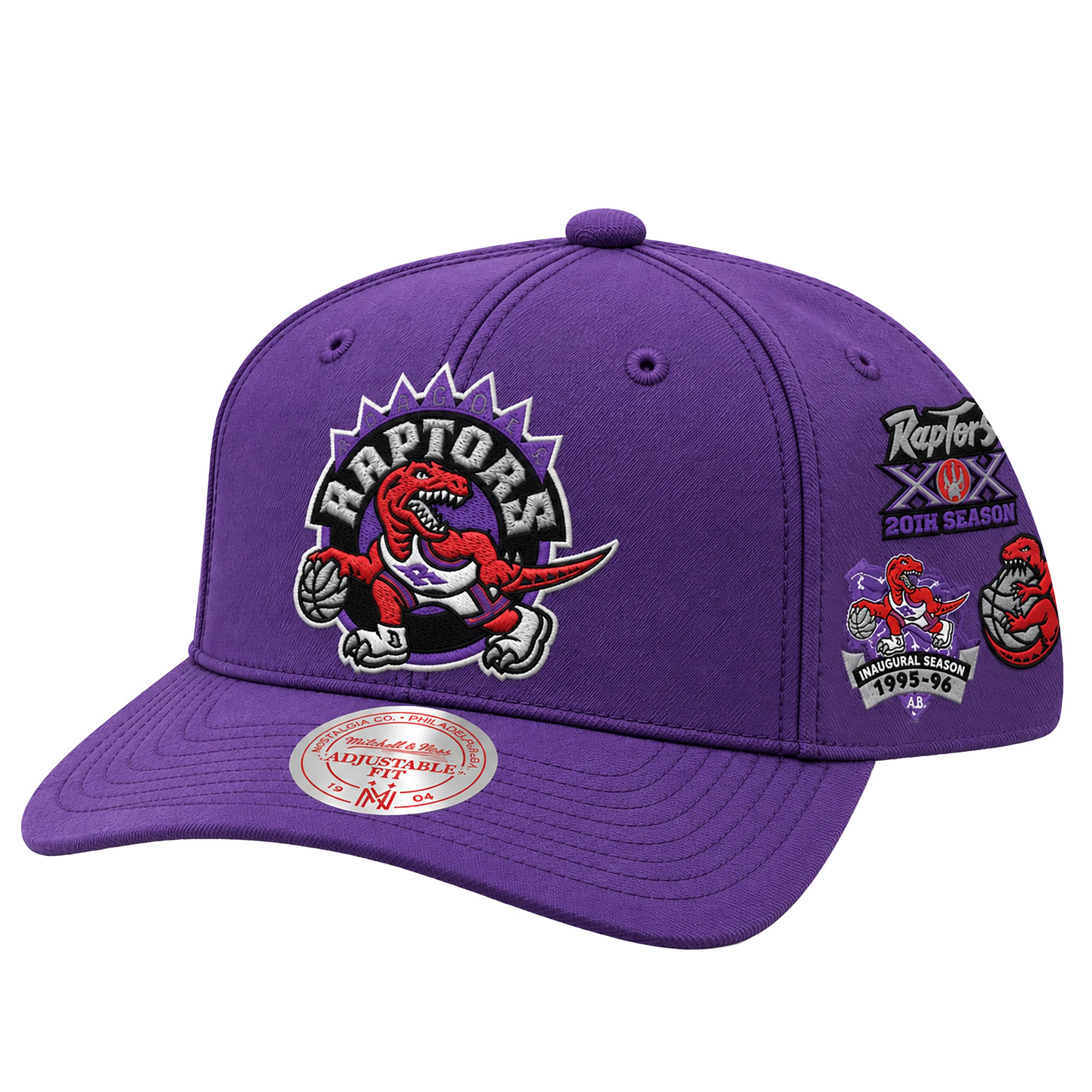 Men's Mitchell & Ness Purple Toronto Raptors Historic Satin A-Frame Snapback Hat