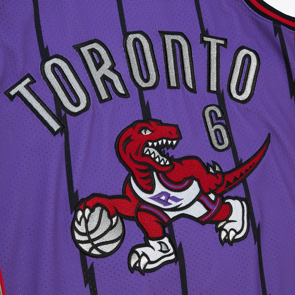 Purple Raptors Jersey Men's Mitchell & Ness Vince Carter Purple