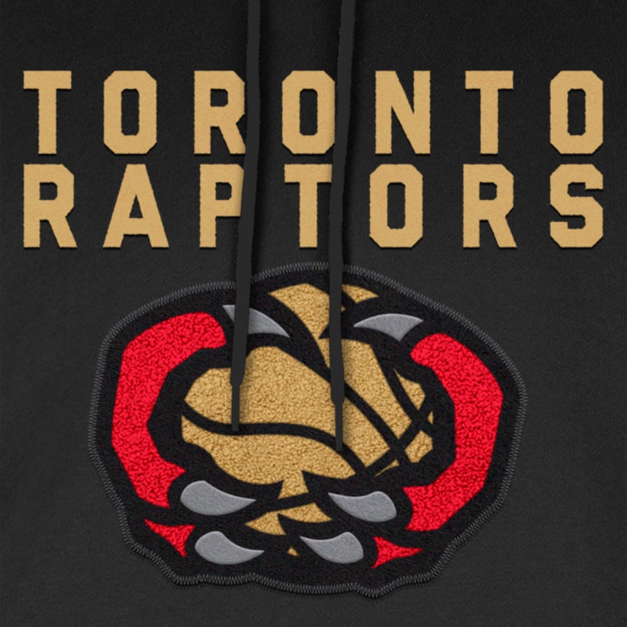 Toronto Raptors Emblem New Toronto Raptors Logo Toronto Raptors New Era NBA City Edition 2024