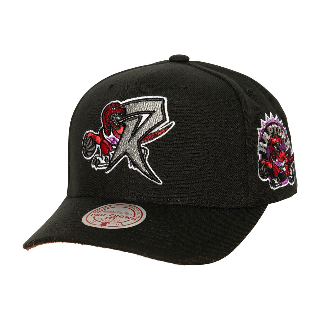 Toronto Raptors Icon Grail Pro Snapback Cap