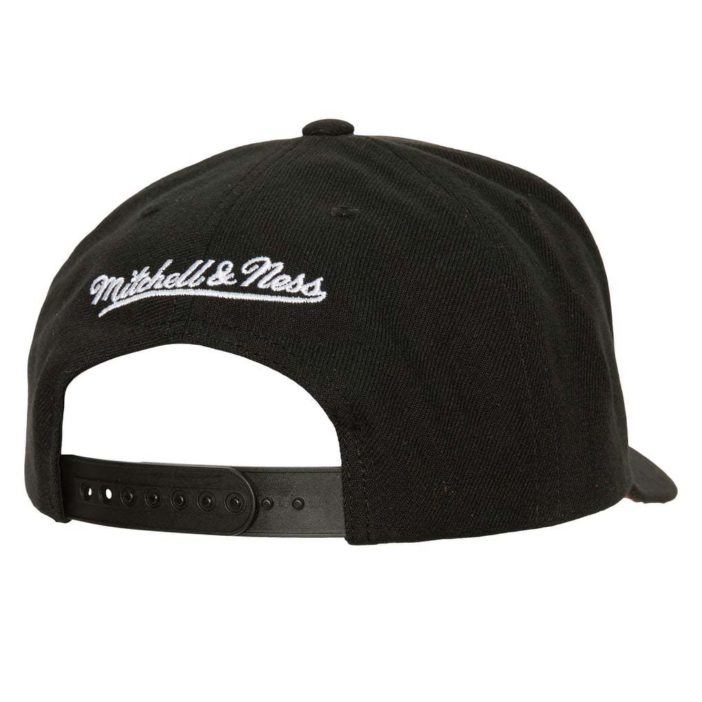 Toronto Raptors Icon Grail Pro Snapback Cap