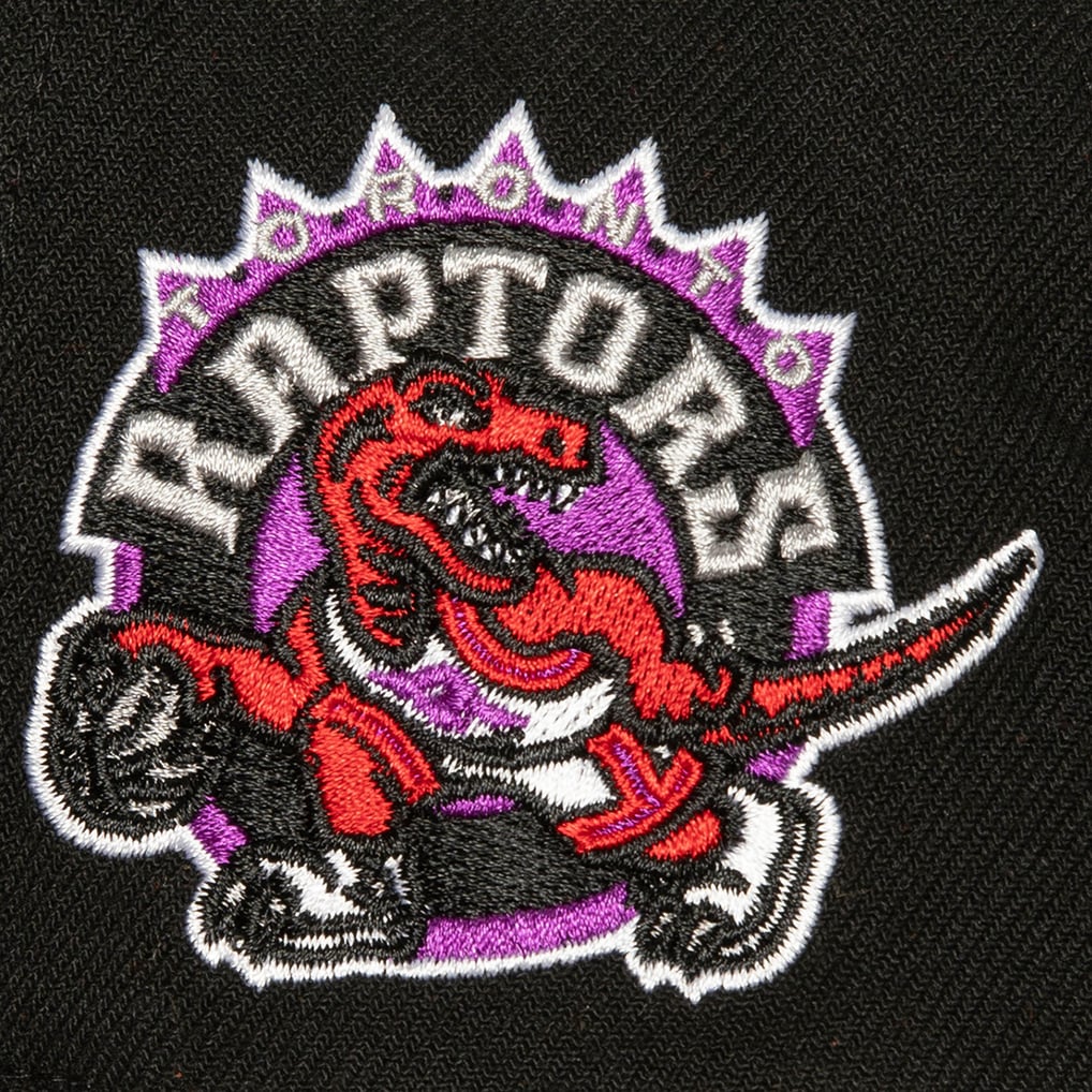 Toronto Raptors Icon Grail Pro Snapback Cap