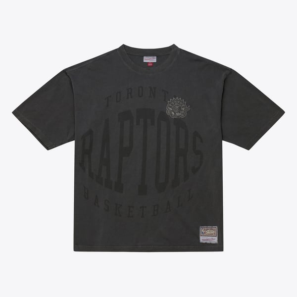 トロント・ラプターズ Tシャツ|NBA公式オンラインストア