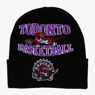 Toronto Raptors Mitchell & Ness Team Origins Knit Beanie Hat HWC