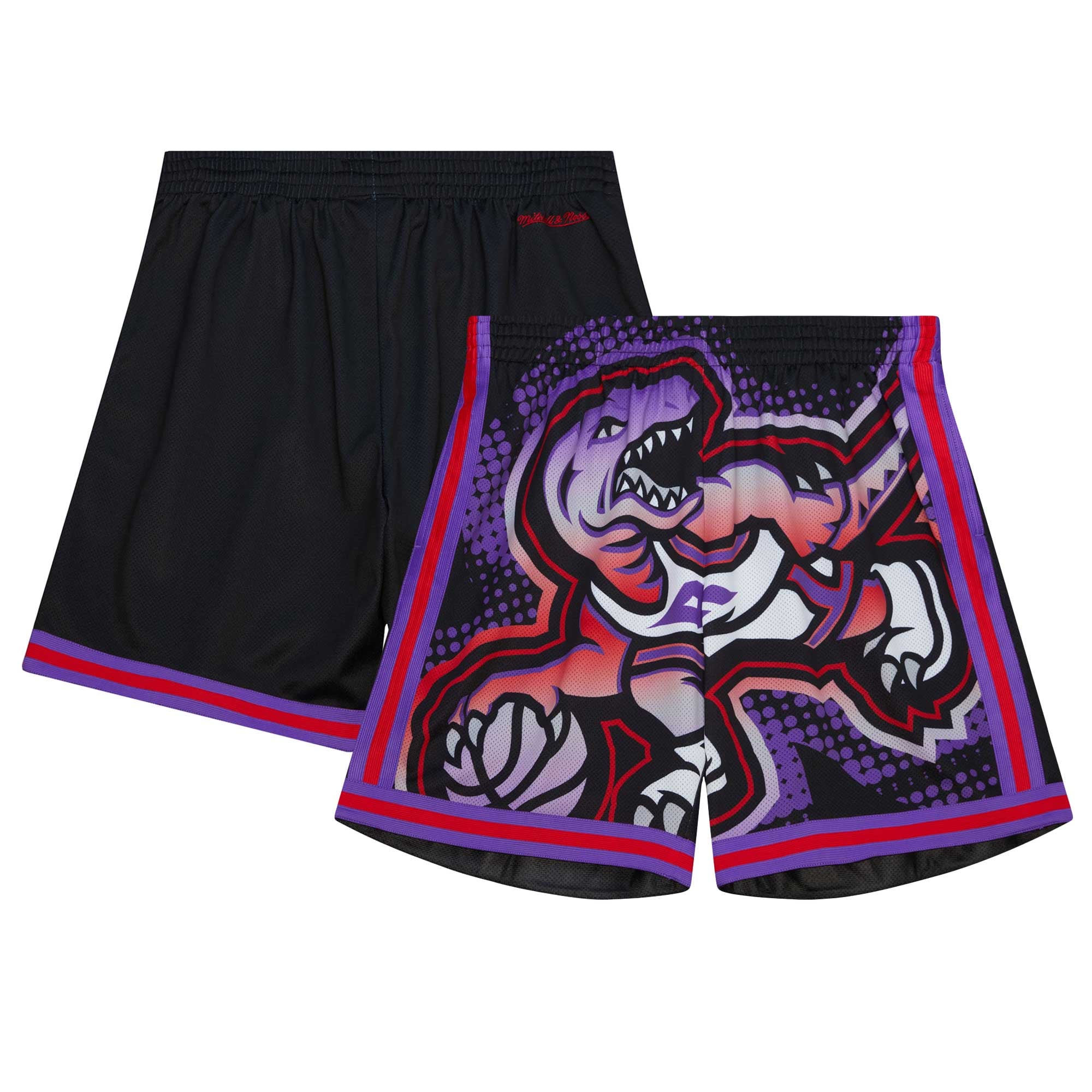 Pro Standard Toronto Raptors Shorts Roses Toronto Raptors NBA Big Face Fashion Short By Mitchell & Ness - Mens