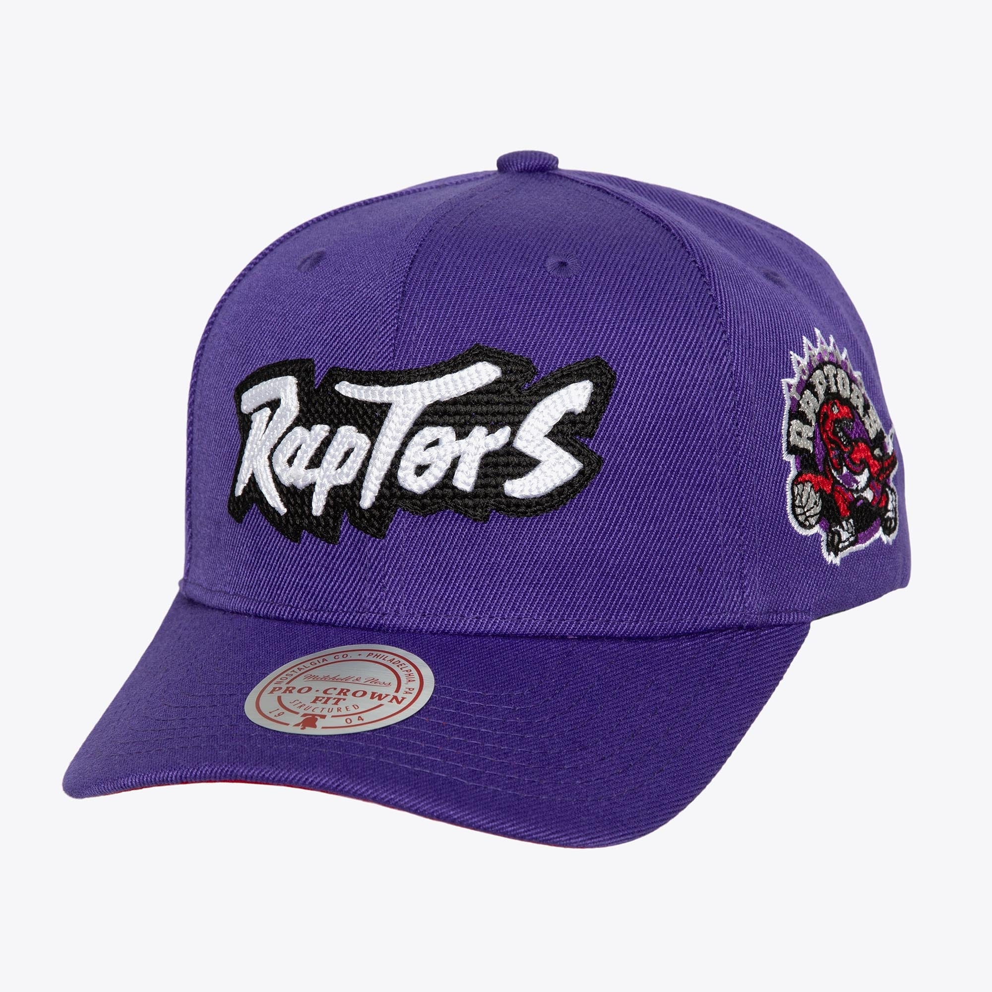 Toronto Raptors Purple Hardwood Classics Chain Gang Pro Crown Snapback Hat