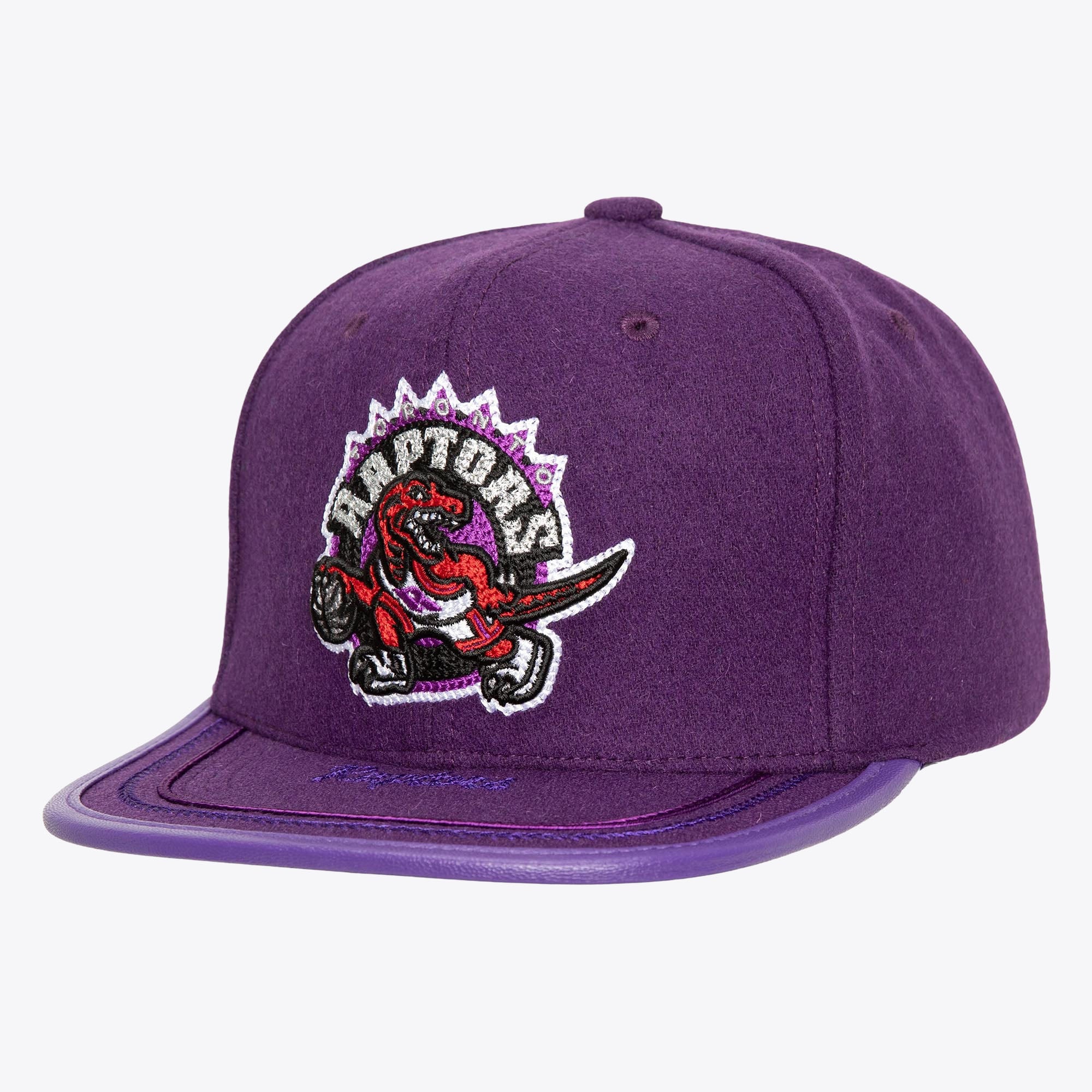 Toronto Raptors Purple Hardwood Classics Upscale Snapback Hat