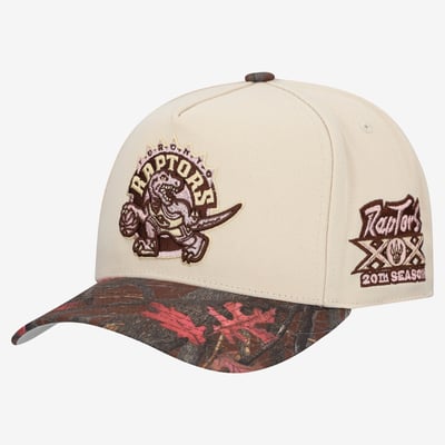  Toronto Raptors Mitchell & Ness Unisex Fall Pink Pro Snapback Hat - Cream