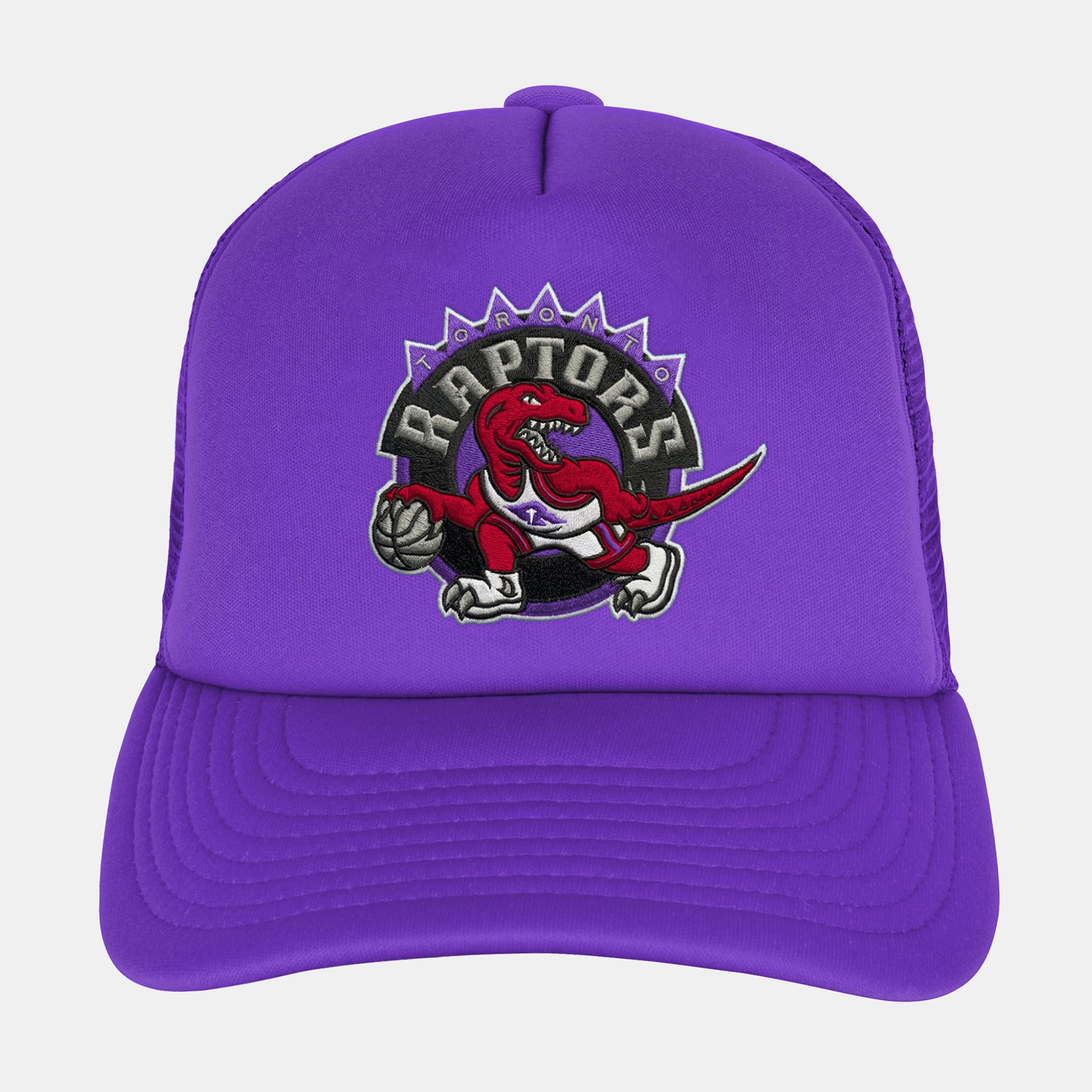 Youth Mitchell & Ness  Purple Toronto Raptors Evergreen Trucker Adjustable Hat