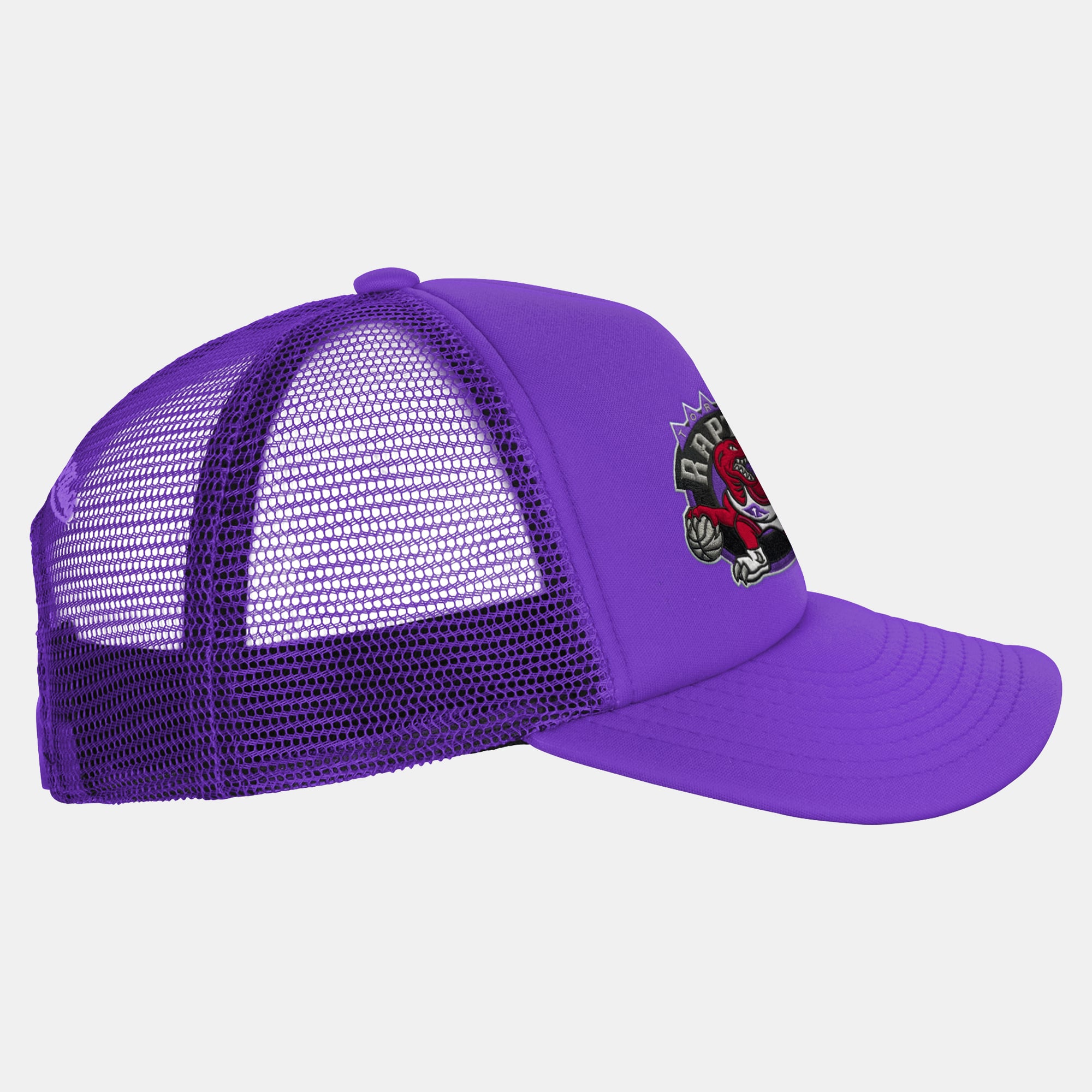 Youth Mitchell & Ness  Purple Toronto Raptors Evergreen Trucker Adjustable Hat