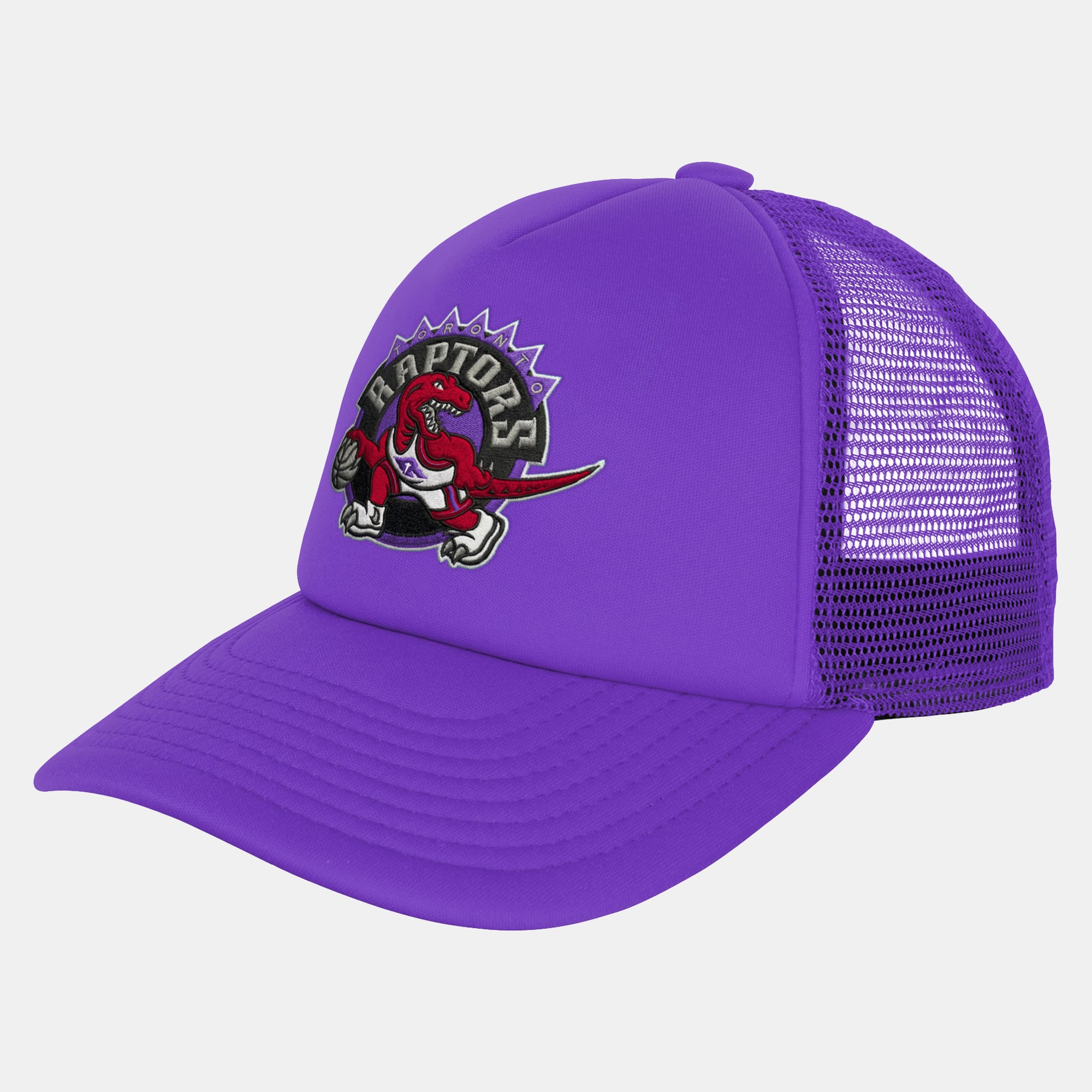 Youth Mitchell & Ness  Purple Toronto Raptors Evergreen Trucker Adjustable Hat