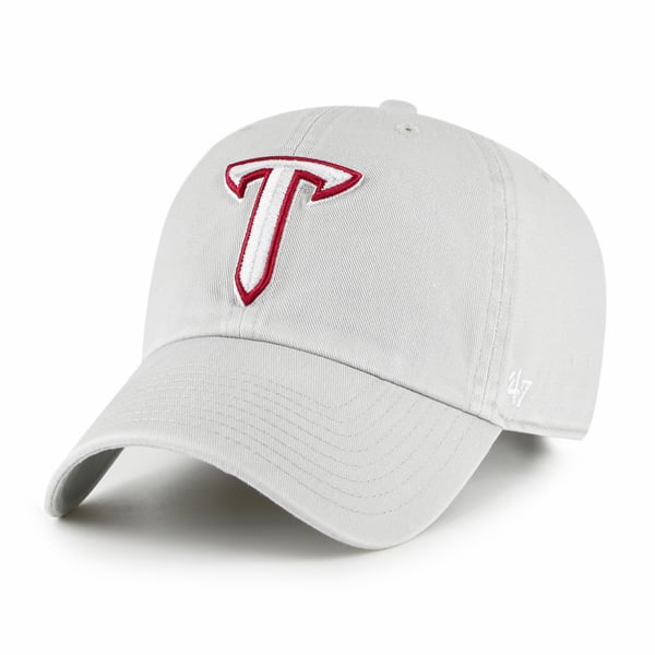 Troy University Gray  display picture 3