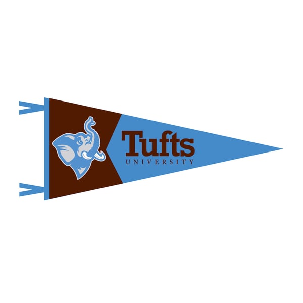 USF Bulls 12x30 Felt Pennant – College Flags And Banners Co.