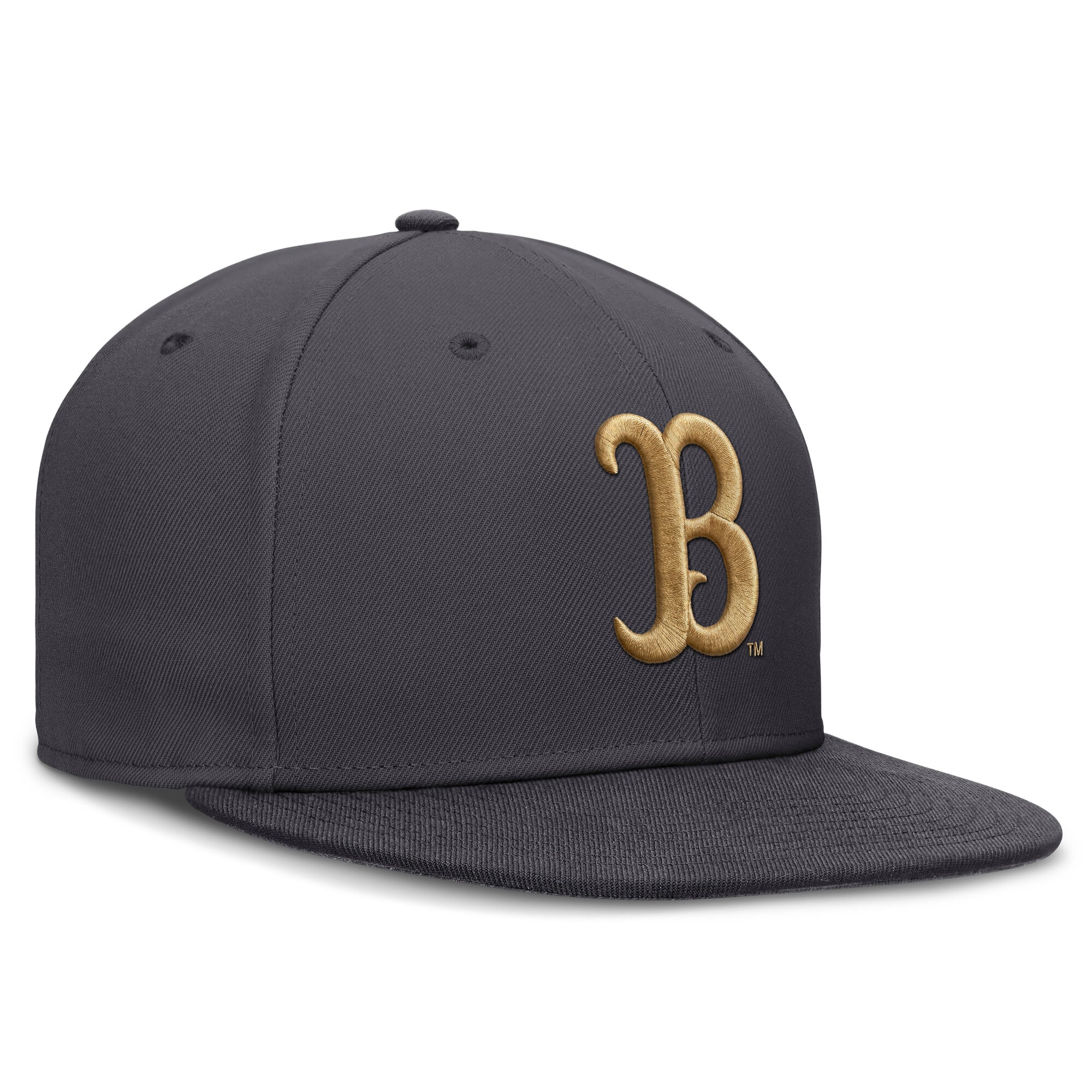 Men's Jordan Brand Anthracite UCLA Bruins Pro Dri-FIT Fitted Hat