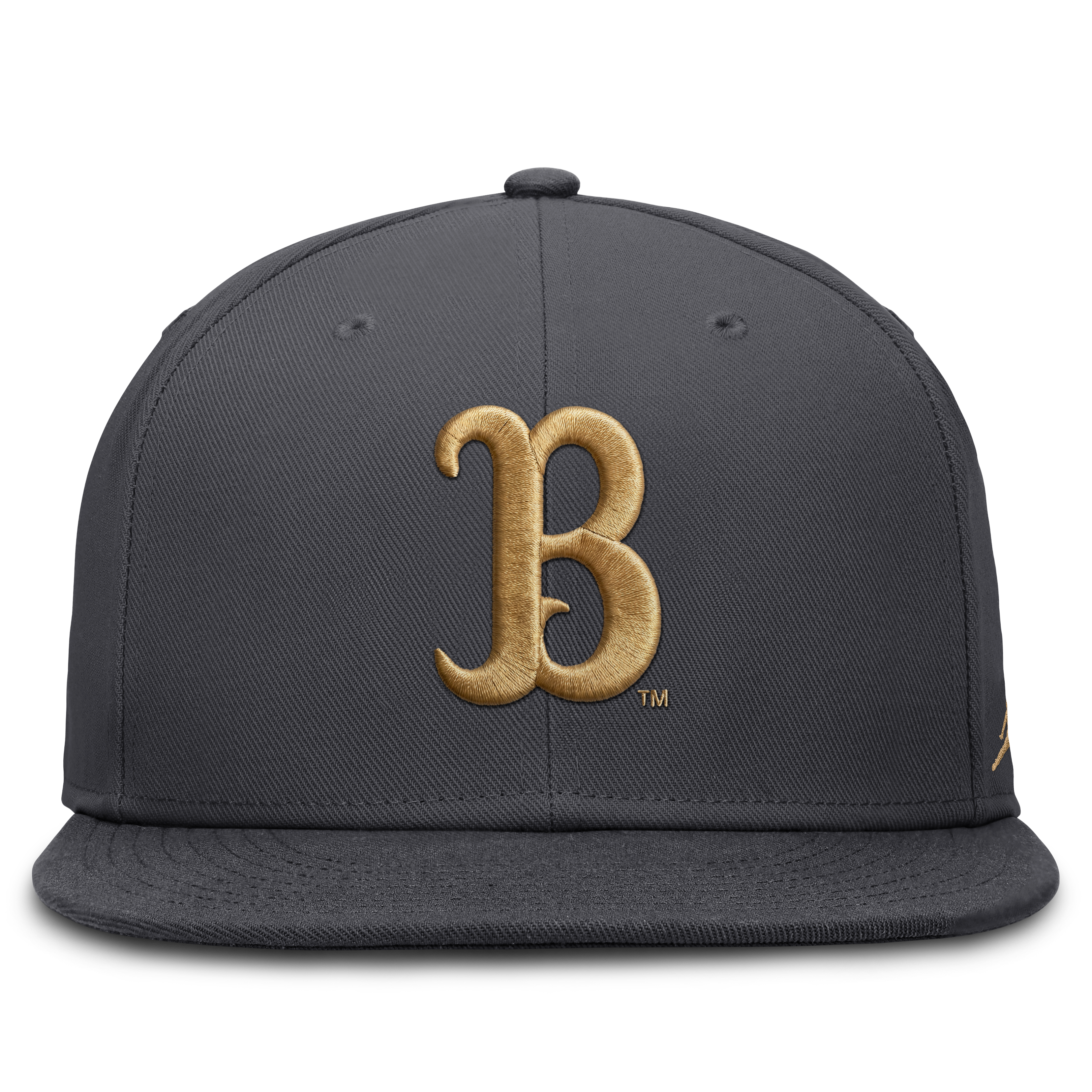 Men's Jordan Brand Anthracite UCLA Bruins Pro Dri-FIT Fitted Hat
