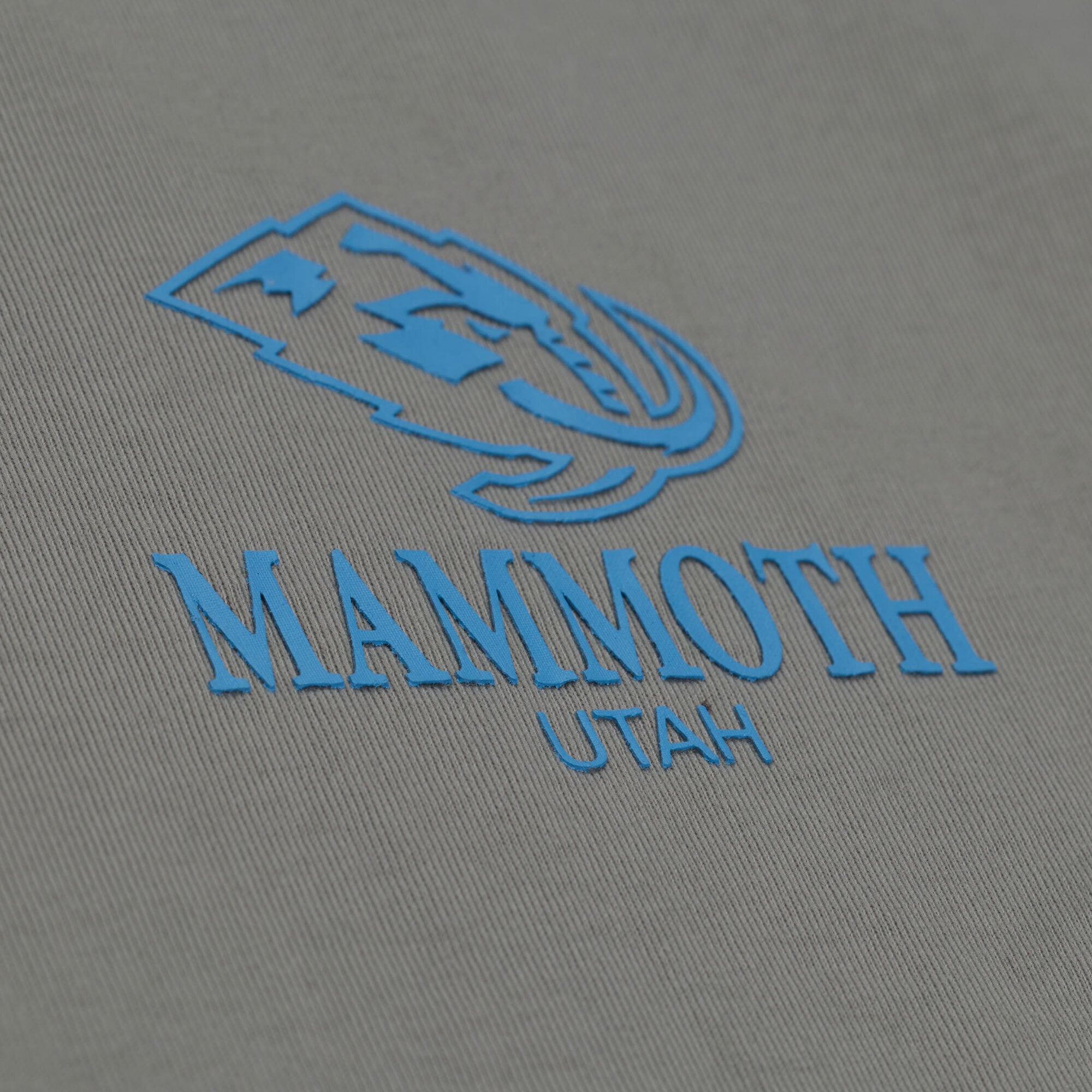 Men's Mitchell & Ness Gray Utah Mammoth Core Essentials T-Shirt