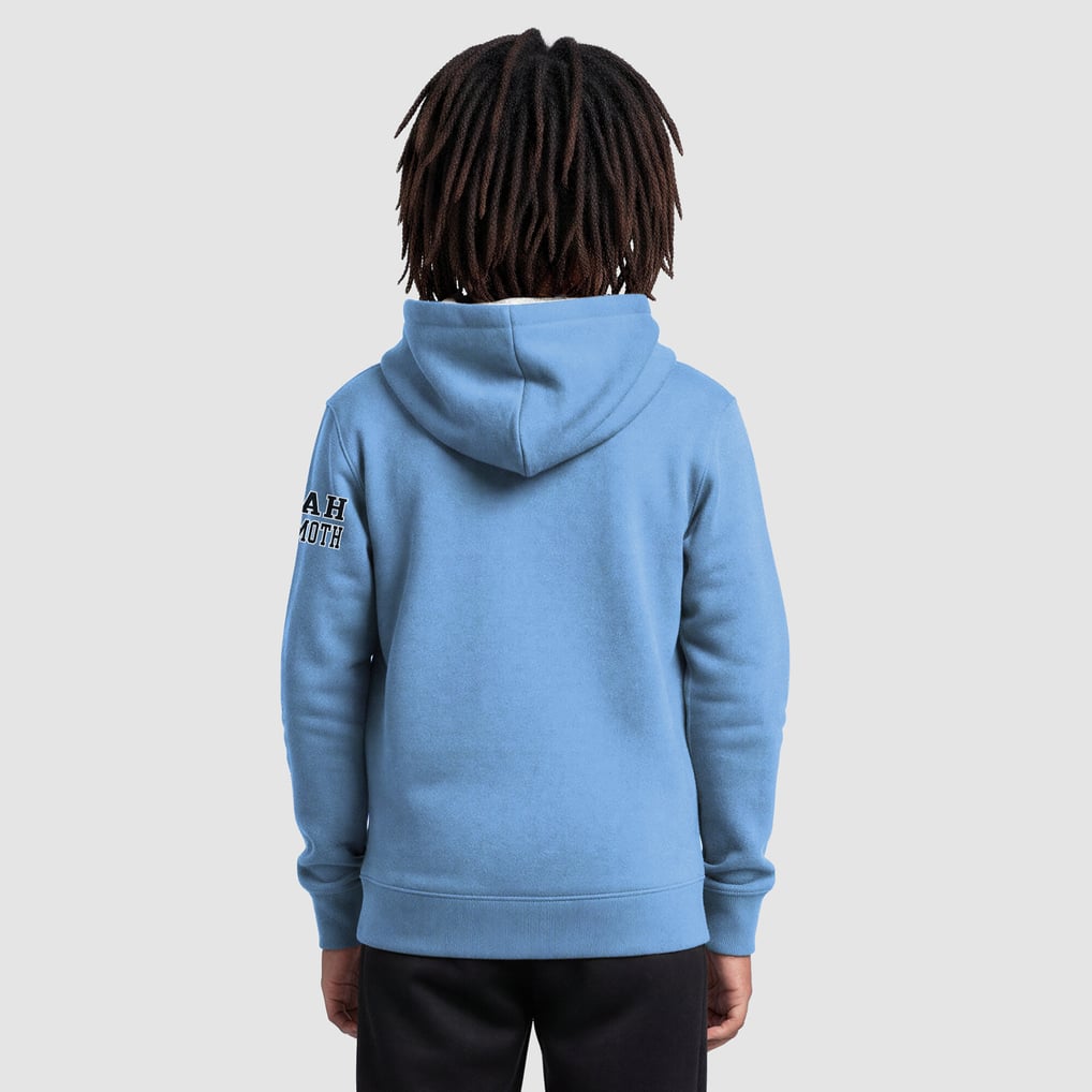 Sweat à capuche en polaire bleu clair Youth Utah Mammoth Champion