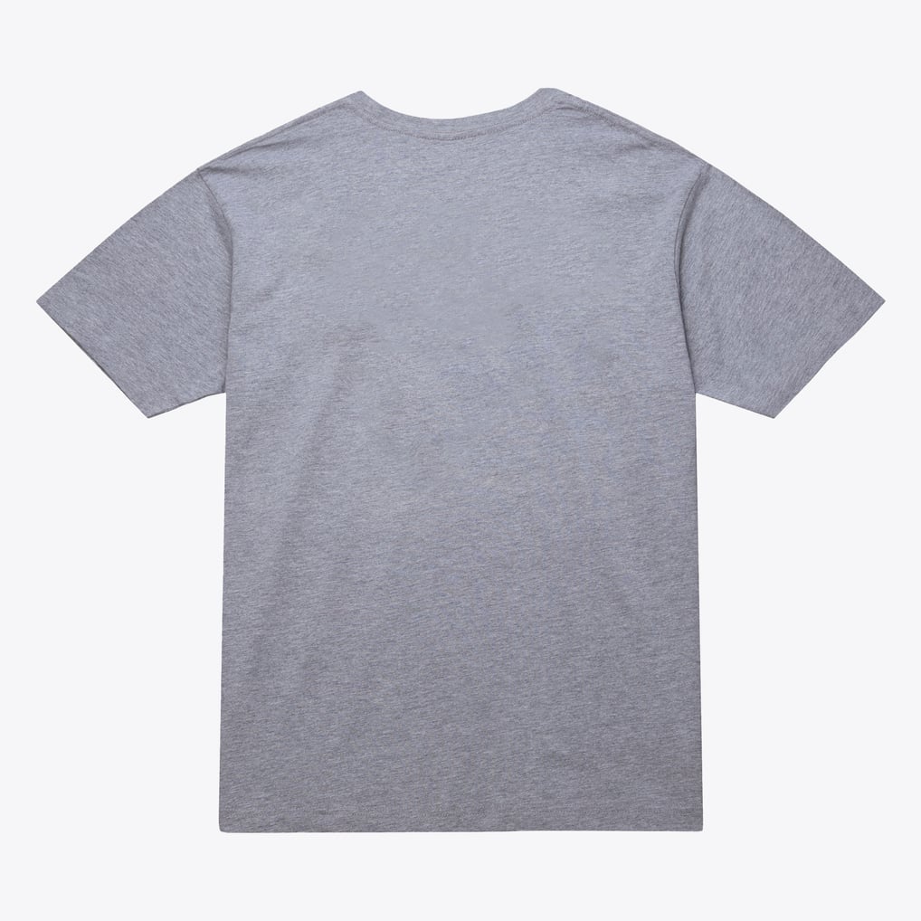  Vancouver Grizzlies Mitchell & Ness Unisex Hardwood Classics Arch T-Shirt - Heather Gray