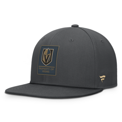 Men's Vegas Golden Knights Fanatics Gray Authentic Pro Train Snapback Hat