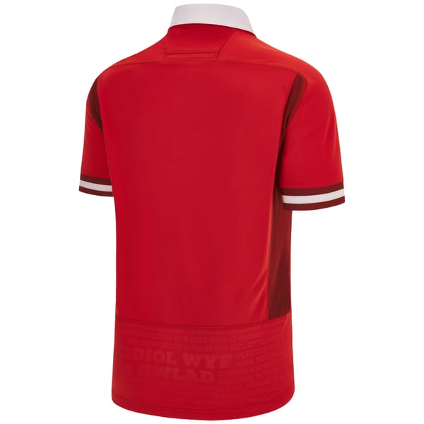 wales-rugby-world-cup-2023- 