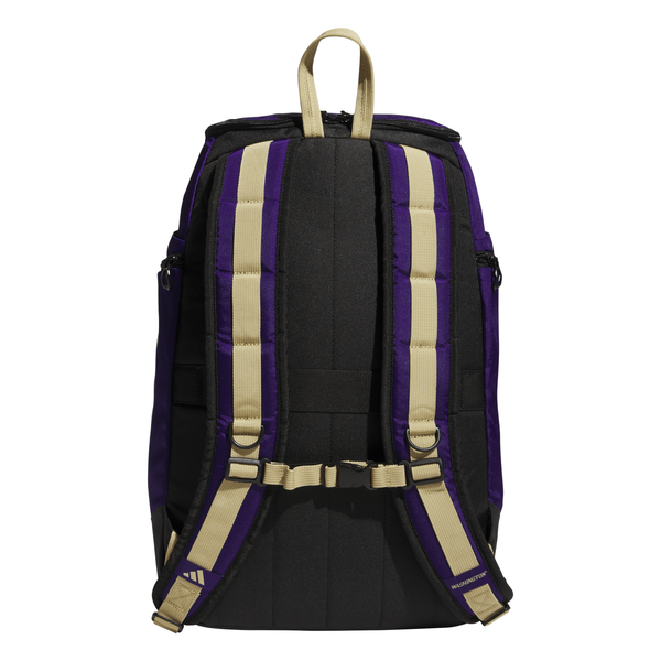 adidas-purple-washington-  display picture 3